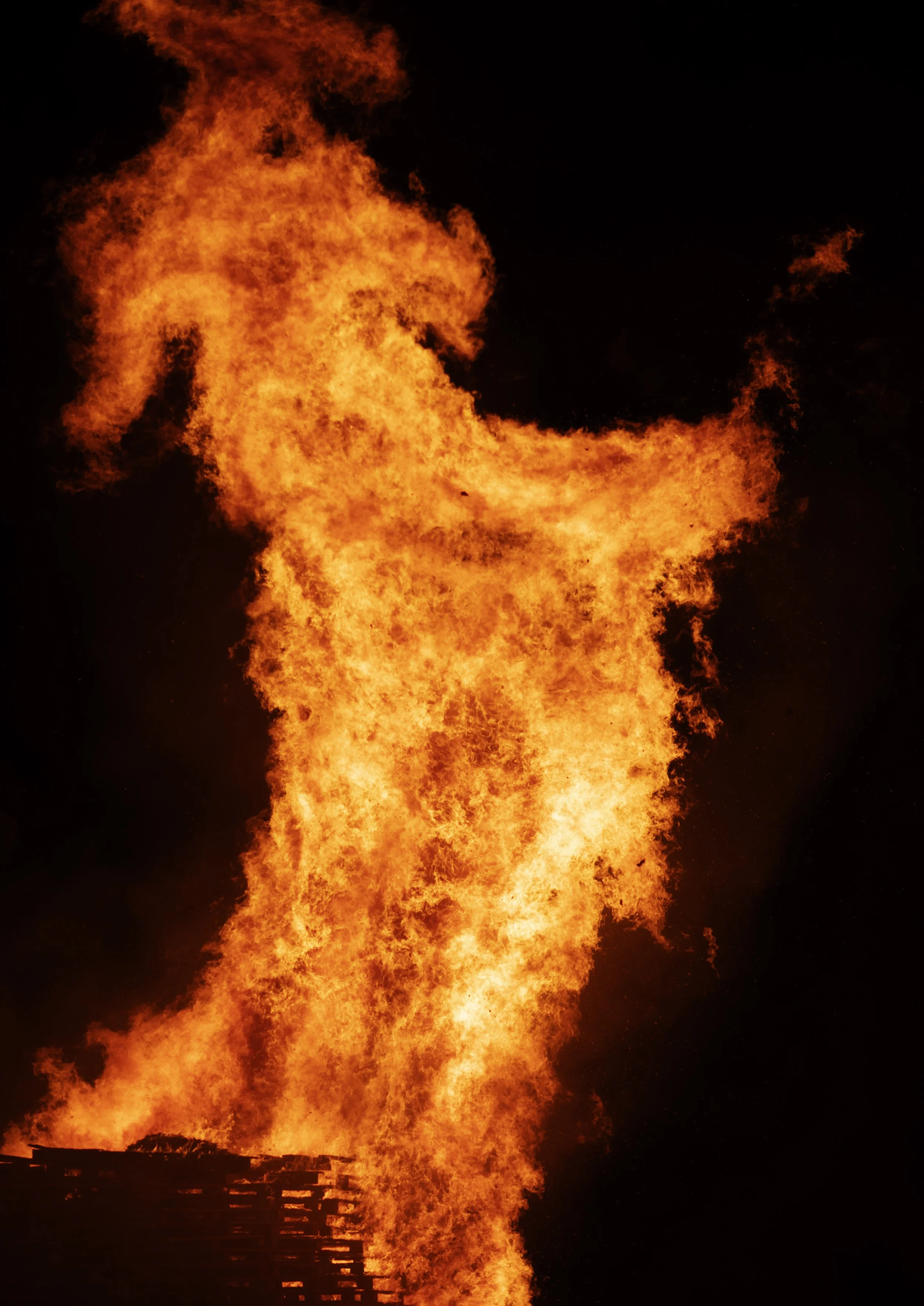 Bonfire Dog