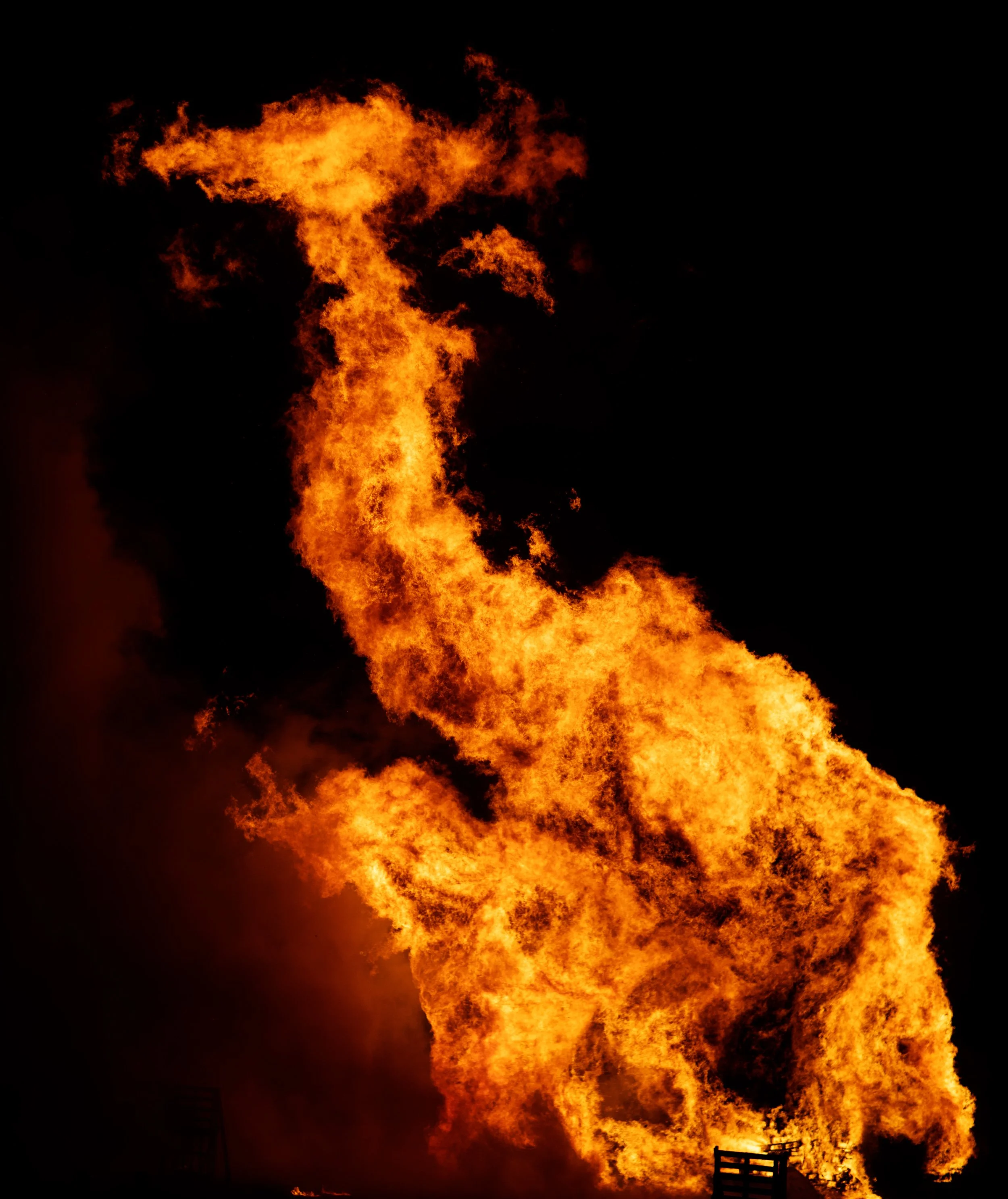 Bonfire Griffin