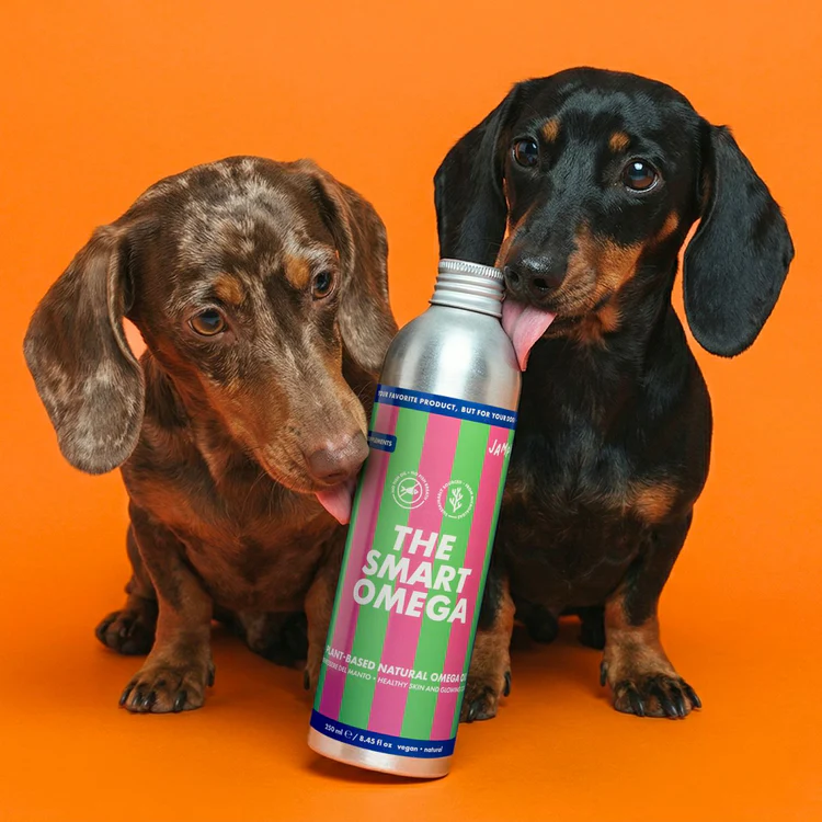 the_smart_omega_jampy_olio_omega3_pelle_cane_750x.png