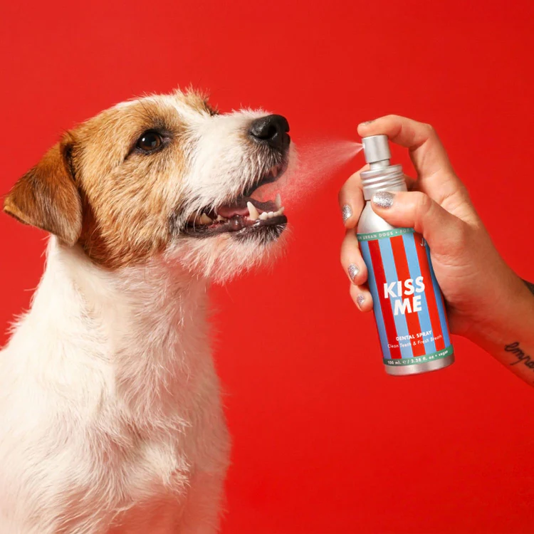 dentifricio_spray_jampy_750x.png