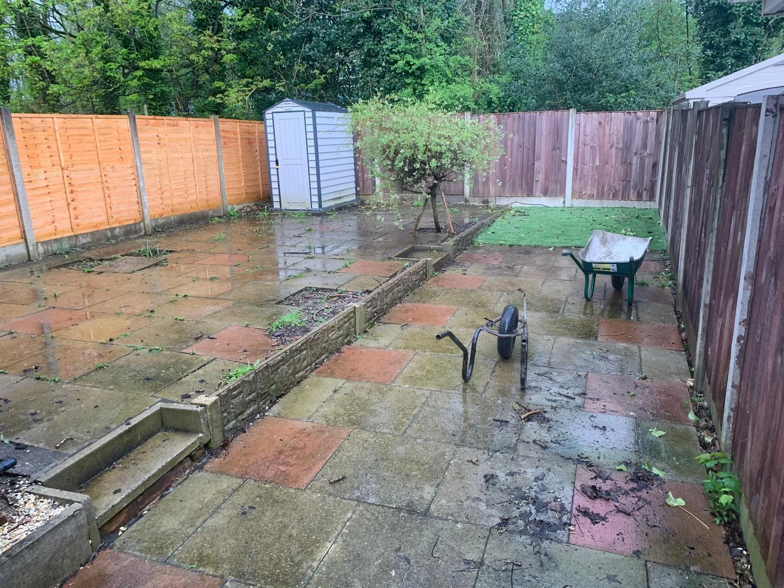 A wet backyard patio with a wooden fence, a small shed, a plant in the ground, a wheelbarrow, and a green rug. The patio has large square paving stones and some scattered leaves and debris.