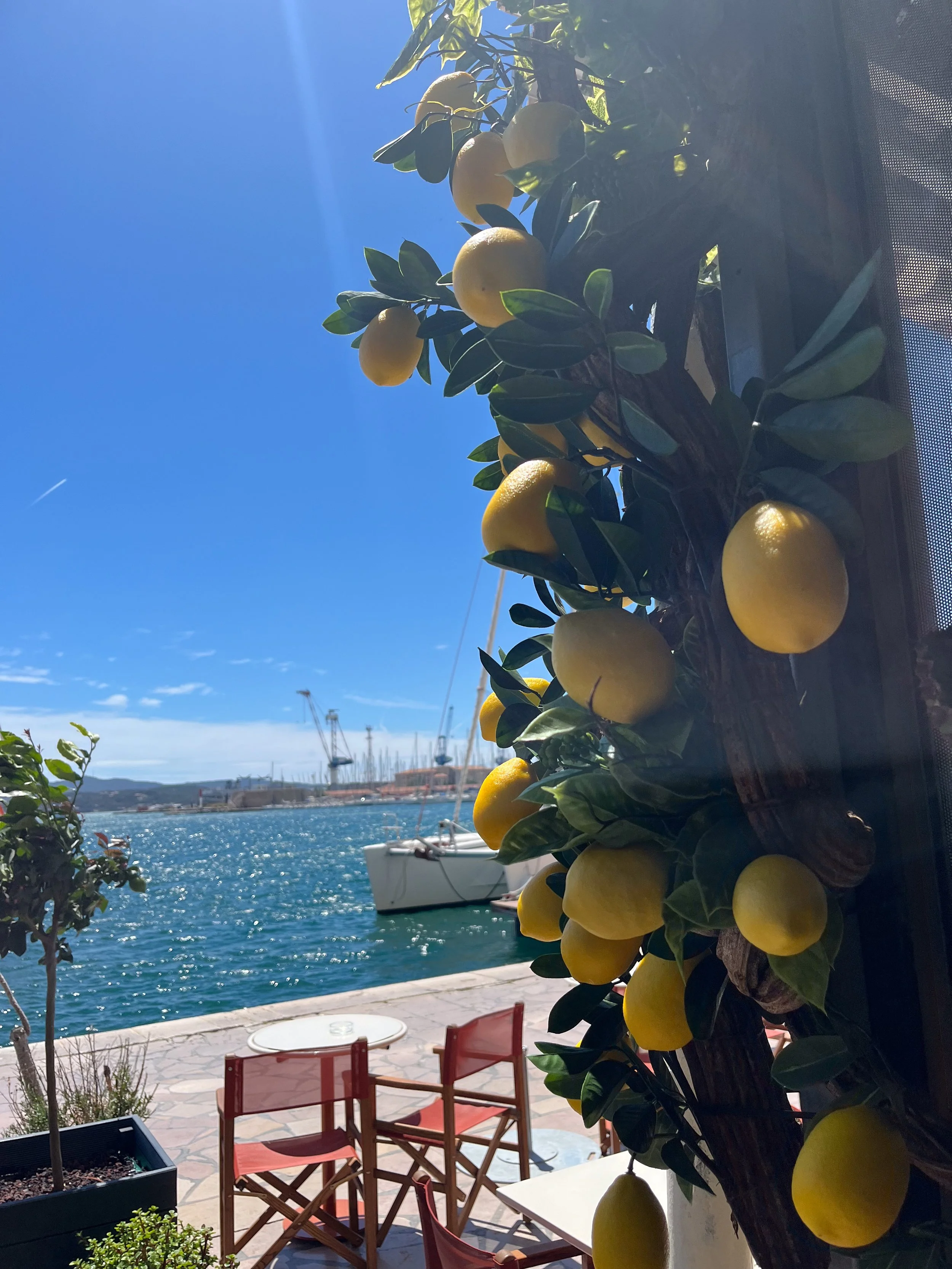 Vue de l'extérieur d'un restaurant ou café situé près d'un port, avec des chaises rouges et une table sur la terrasse, vue sur la mer avec des bateaux et un port dans le fond, des agrumes jaunes accrochés à un arbre en premier plan.