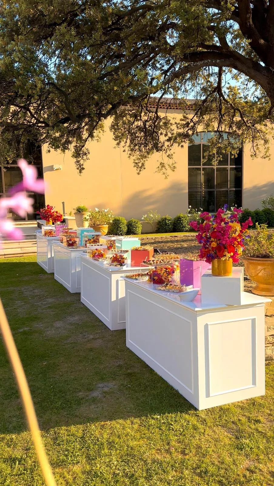 Buffet de desserts avec plusieurs plaques contenant des gâteaux et des friandises, décoré de fleurs colorées dans des vases, en plein air sous un arbre.