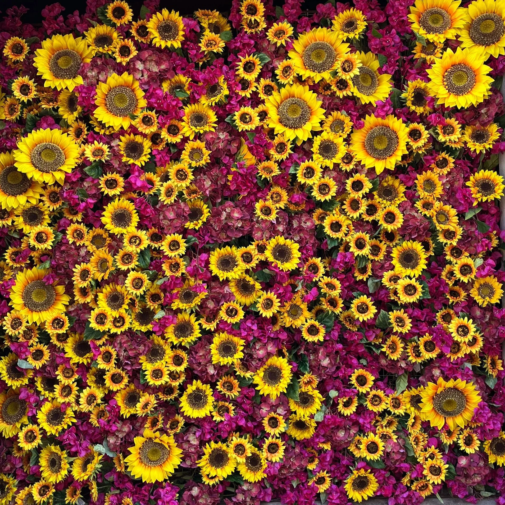 Un mur recouvert de fleurs de tournesol jaunes et de fleurs roses.