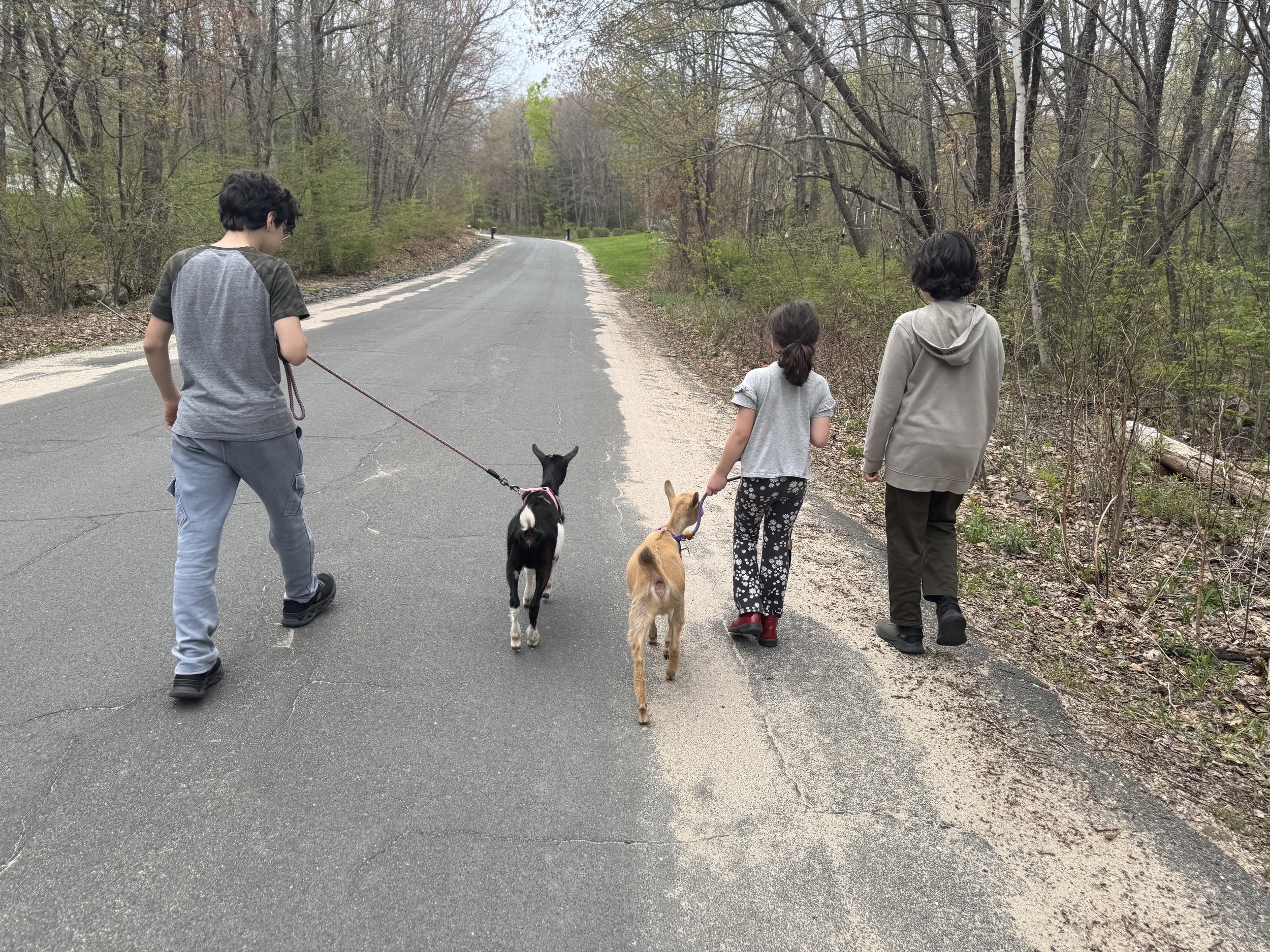 Hiking with the Goats