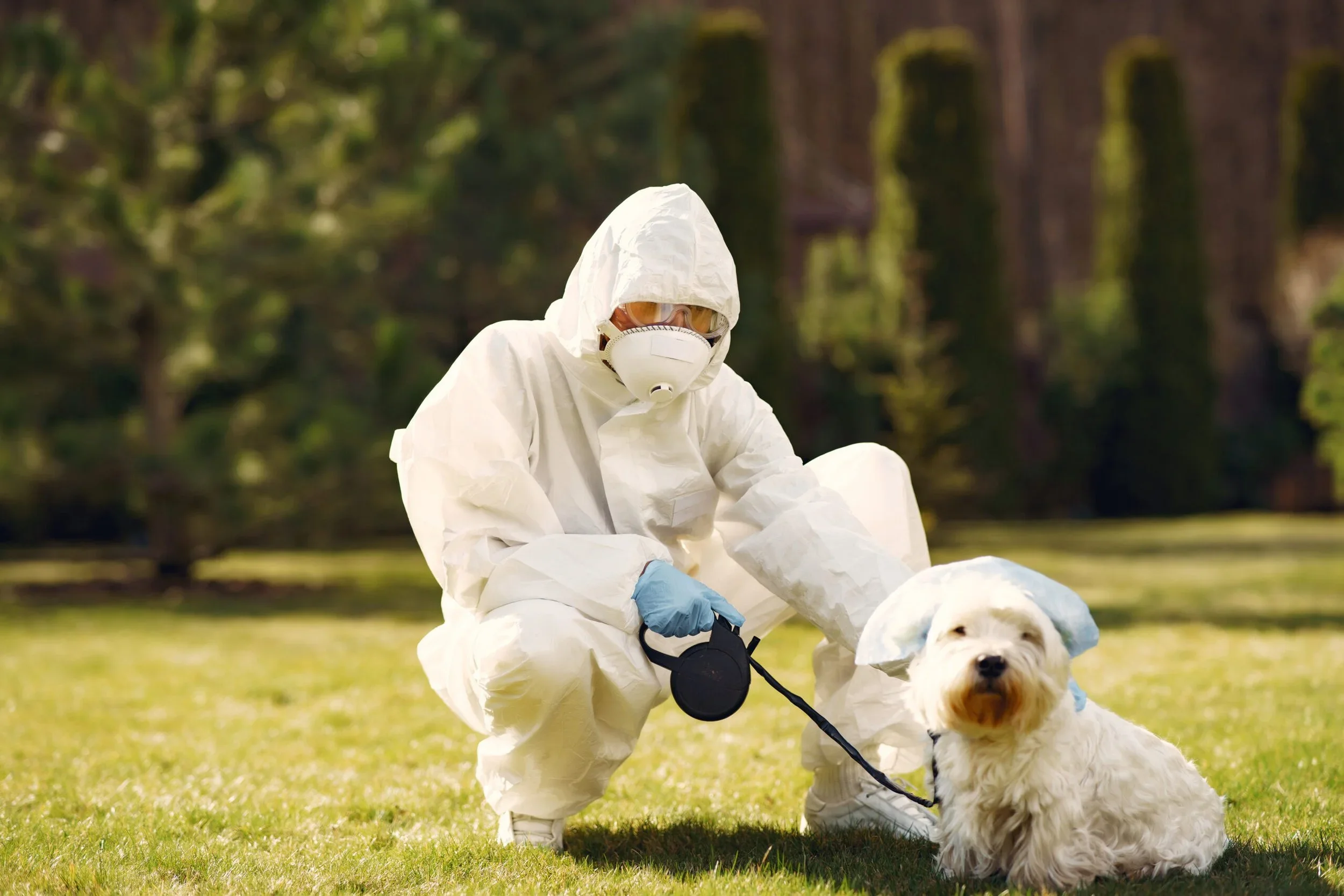 7 Warning Signs of Hidden Mold in Your Chicago Home