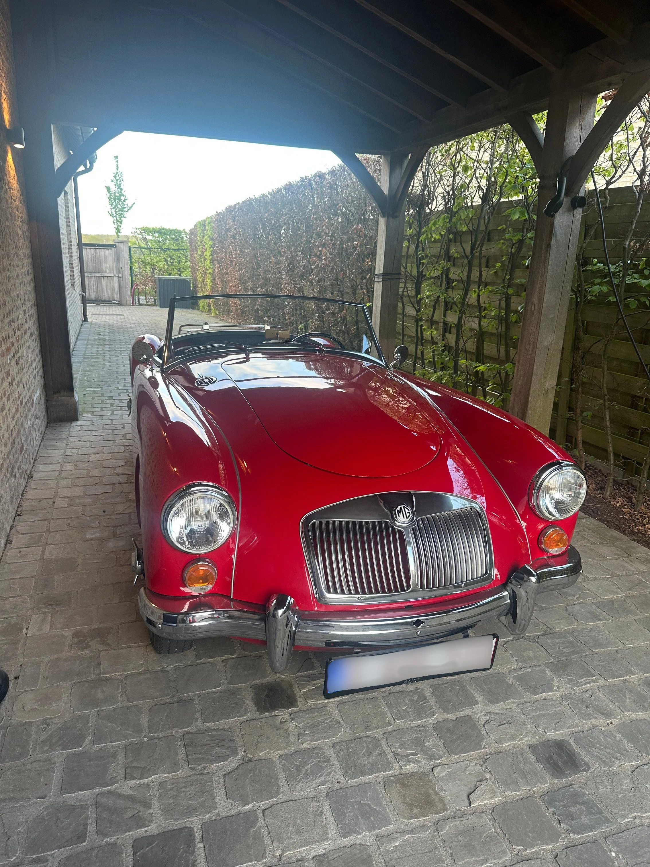 MG front blur.jpg