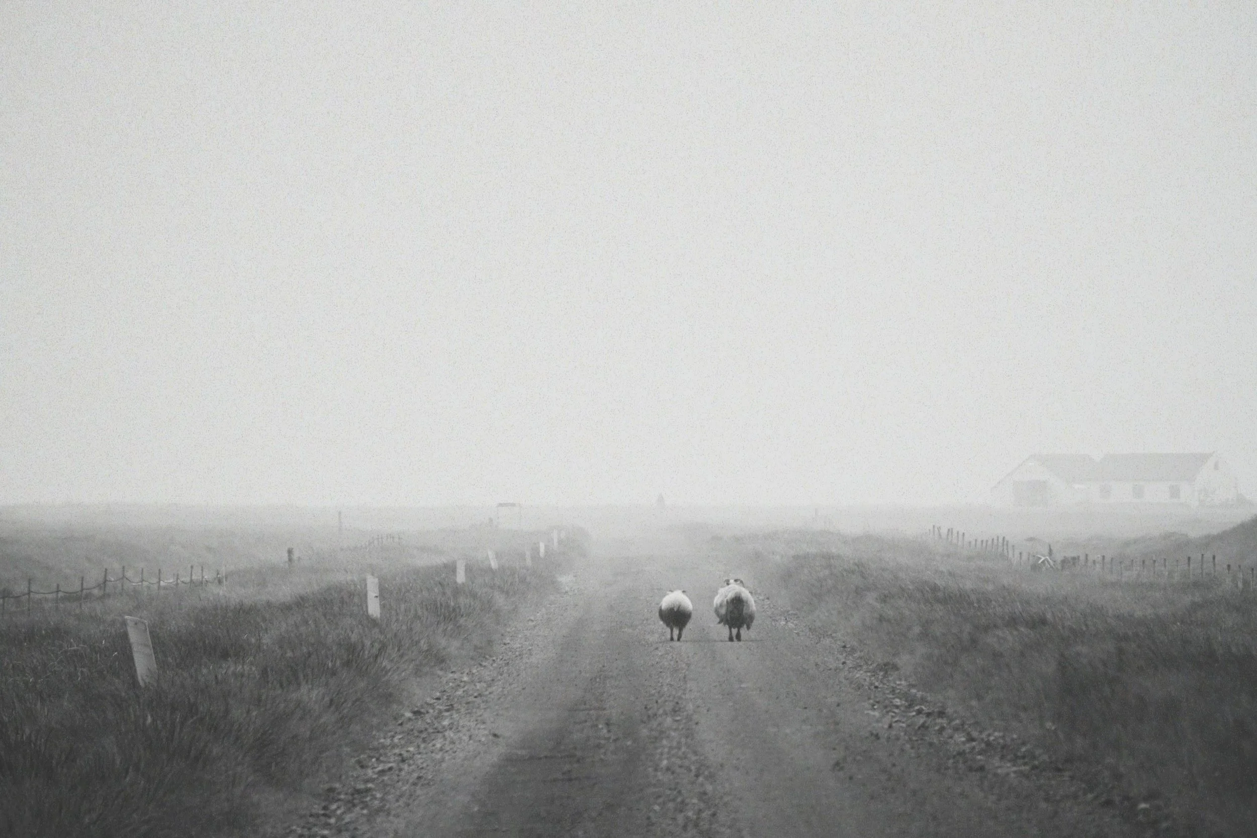 DSC03037_VSCO (3).jpg