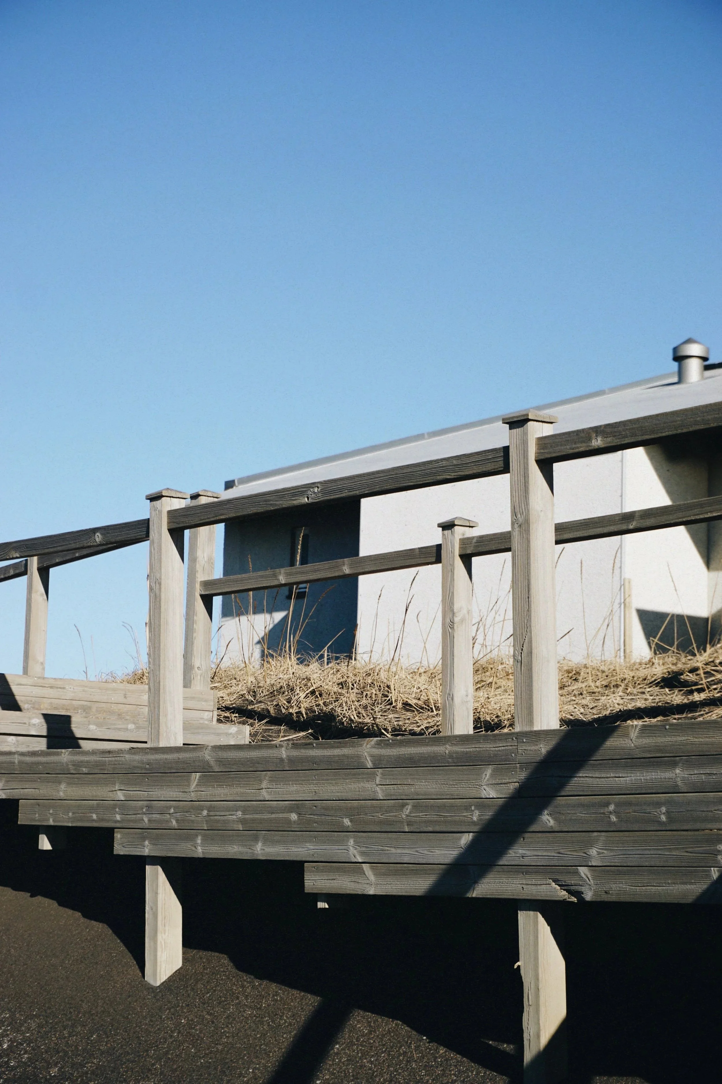 4B94D88E-0802-48D4-8148-85F64651AAA8_Original_VSCO+%283%29.jpg