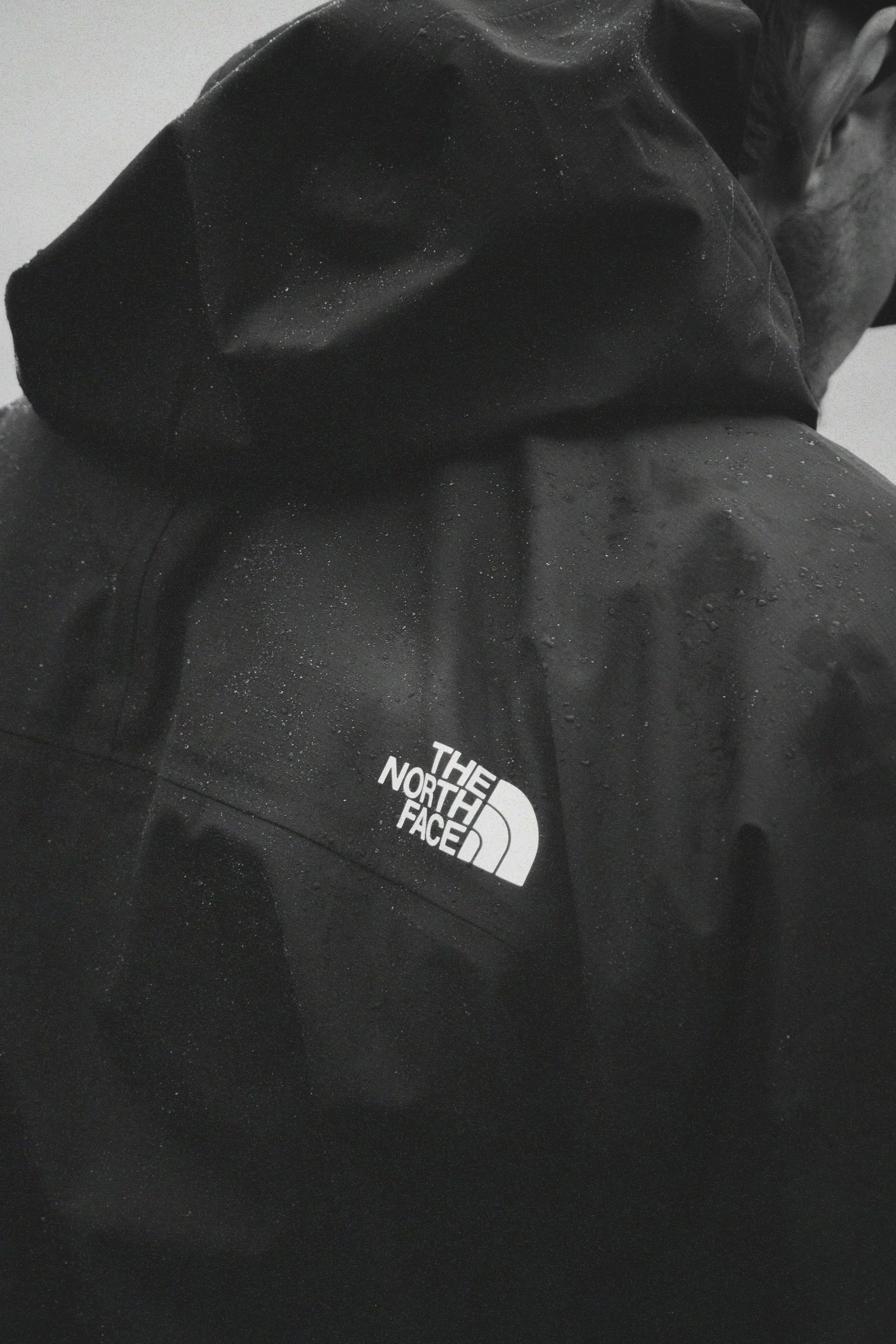 the north face