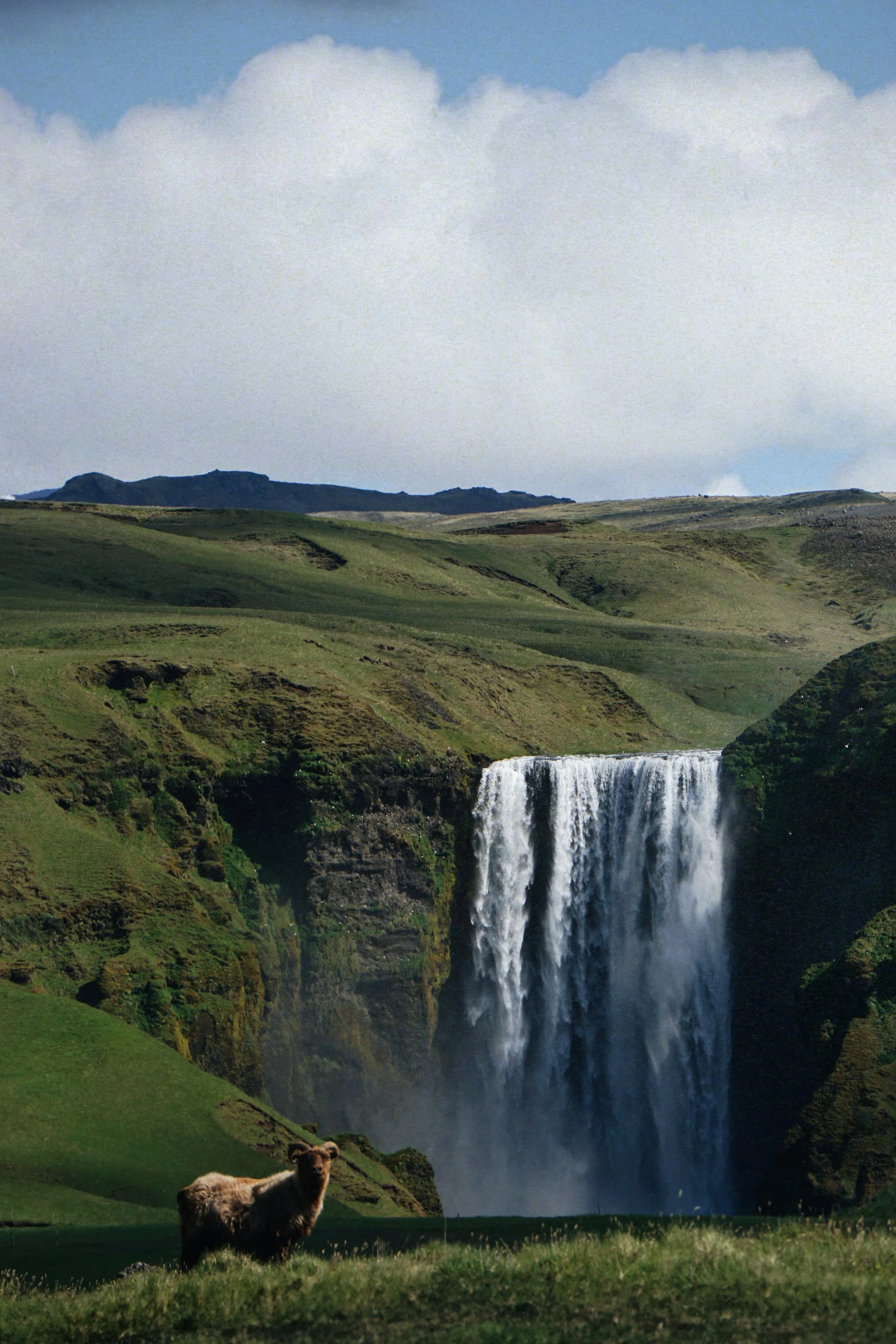 DSC06771_VSCO (3).jpg