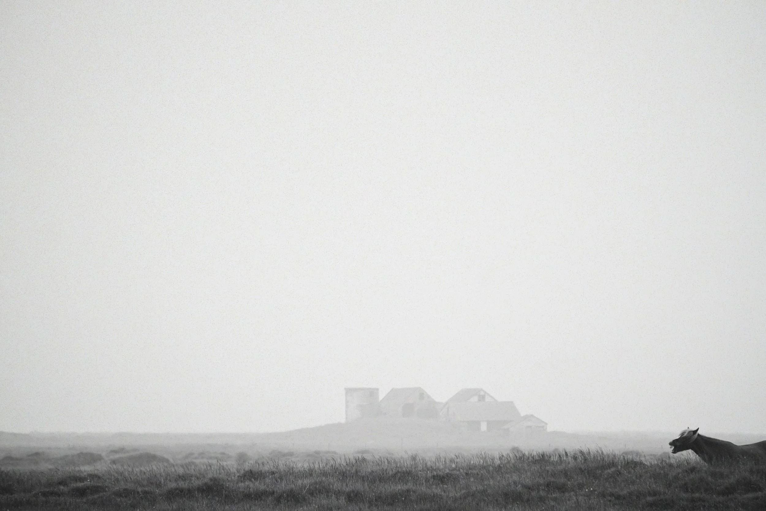 DSC03025_VSCO (4).jpg