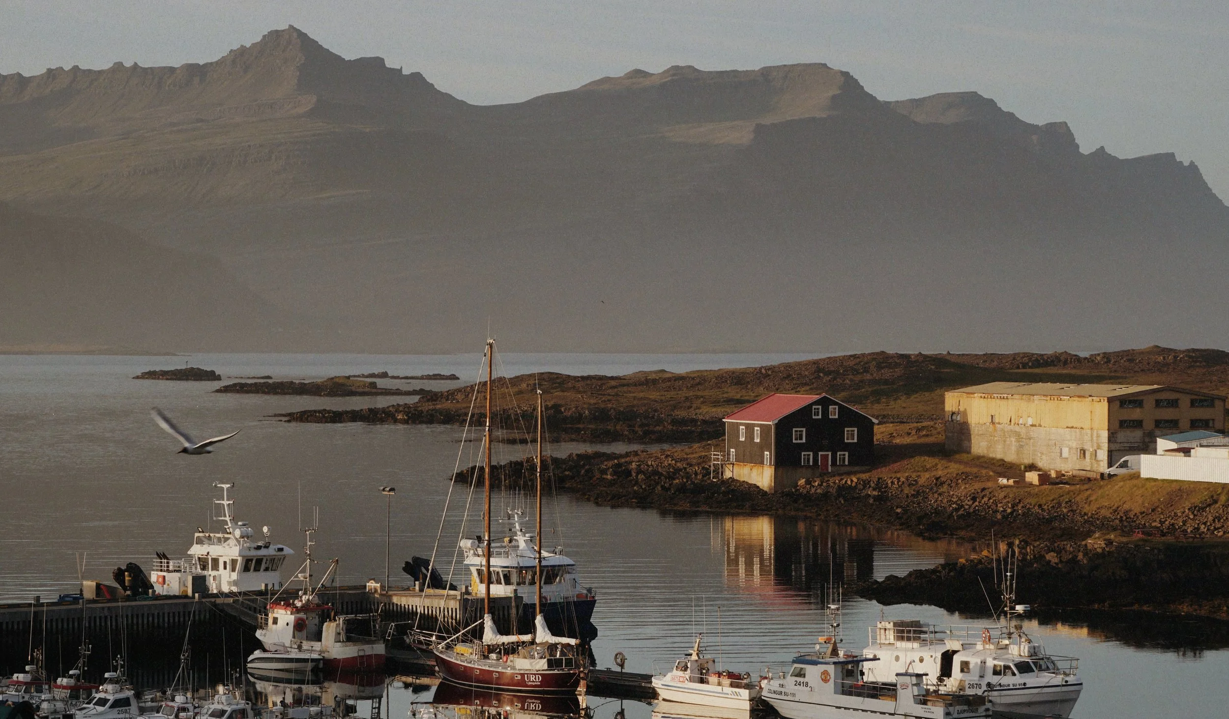 east iceland