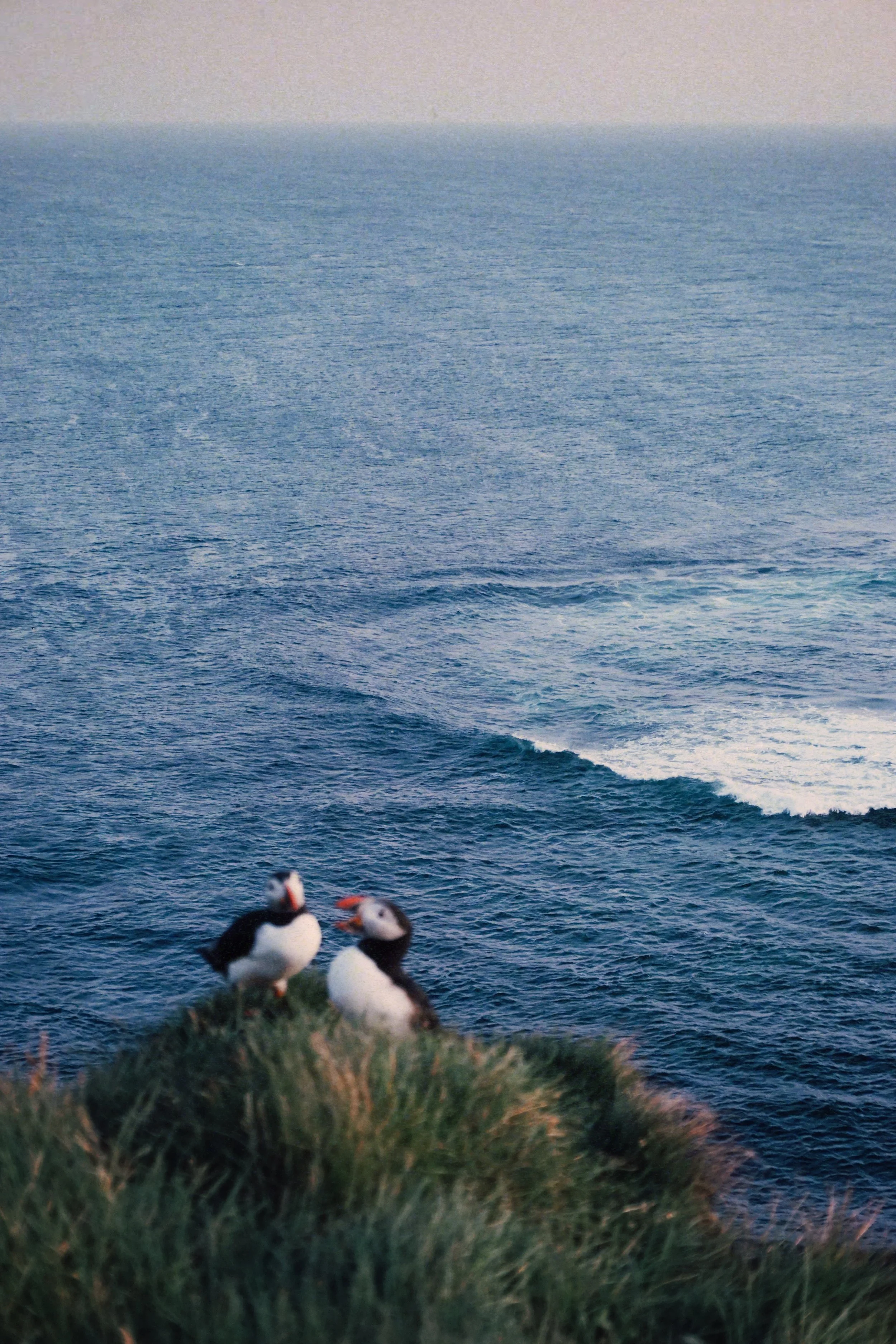 FullSizeRender_VSCO (20).jpg
