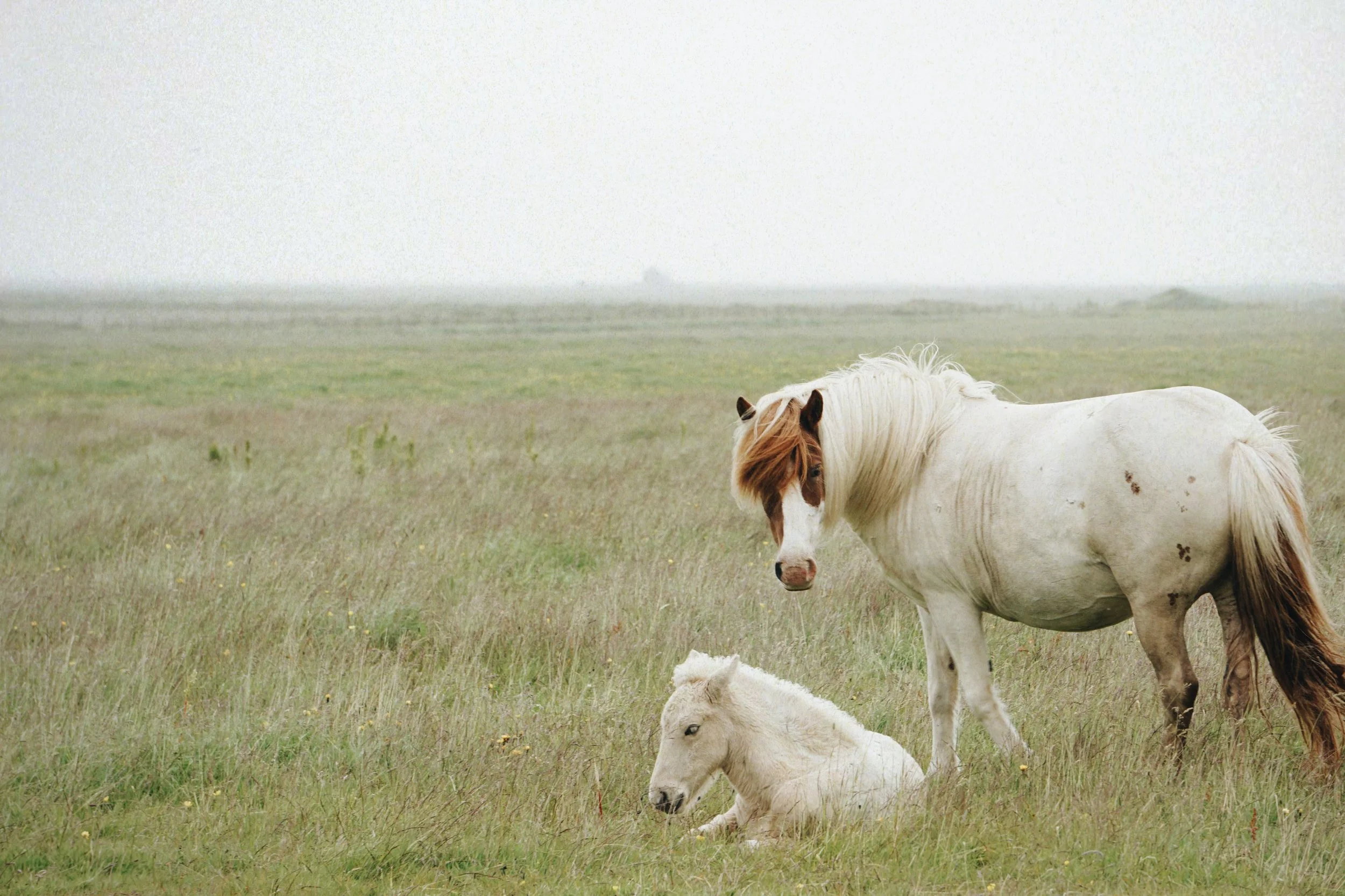 DSC02862_VSCO.jpg