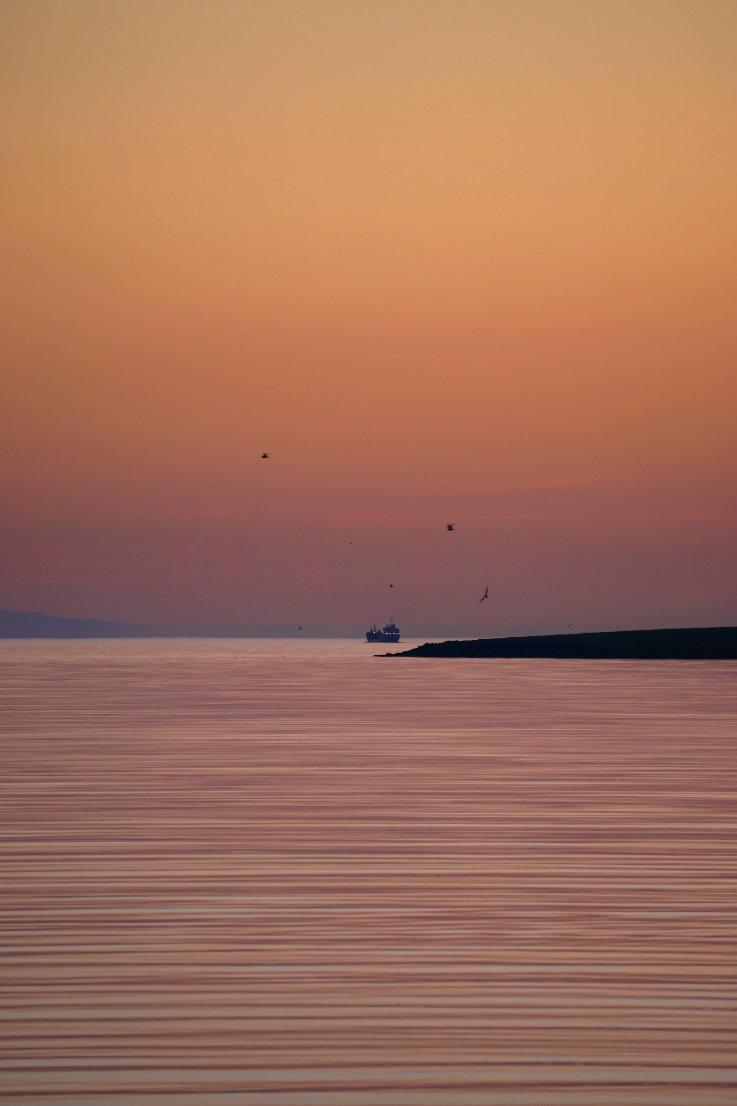 DSC05342_Original.jpg