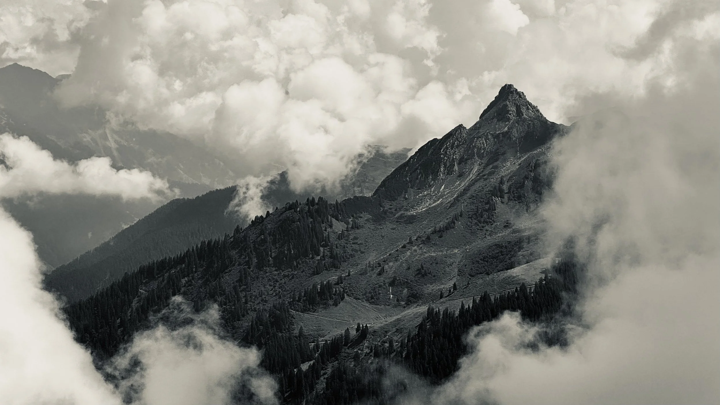Berggipfel mit Wolken im Hintergrund, viele Bäume auf der bergigen Landschaft.