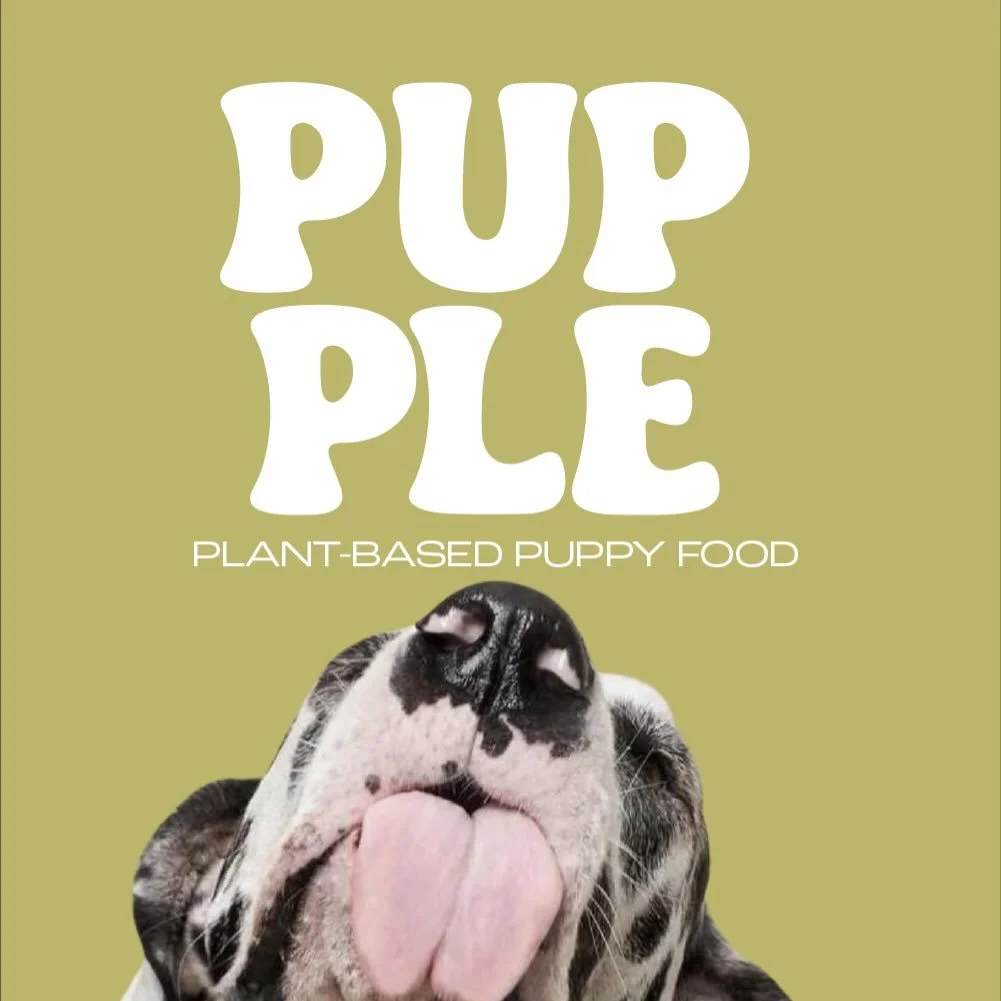 PUPPLE plant based puppy food 🐶 🐾

#branddesign #branding #puppies #businessowner #brand