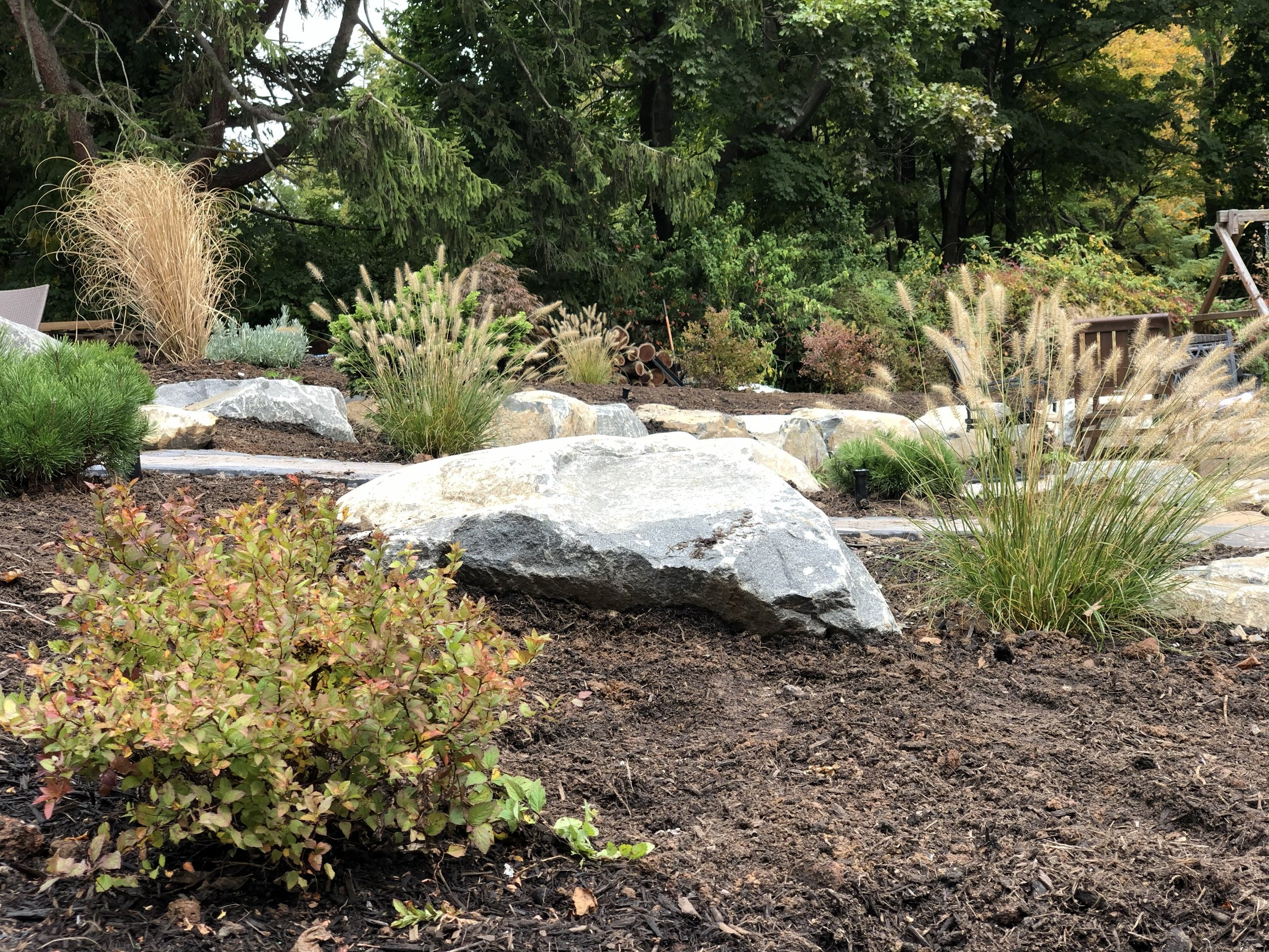 Basking Ridge Landscape