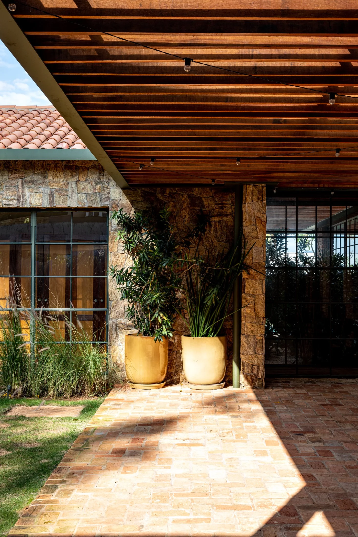 IMG_8649.jpg