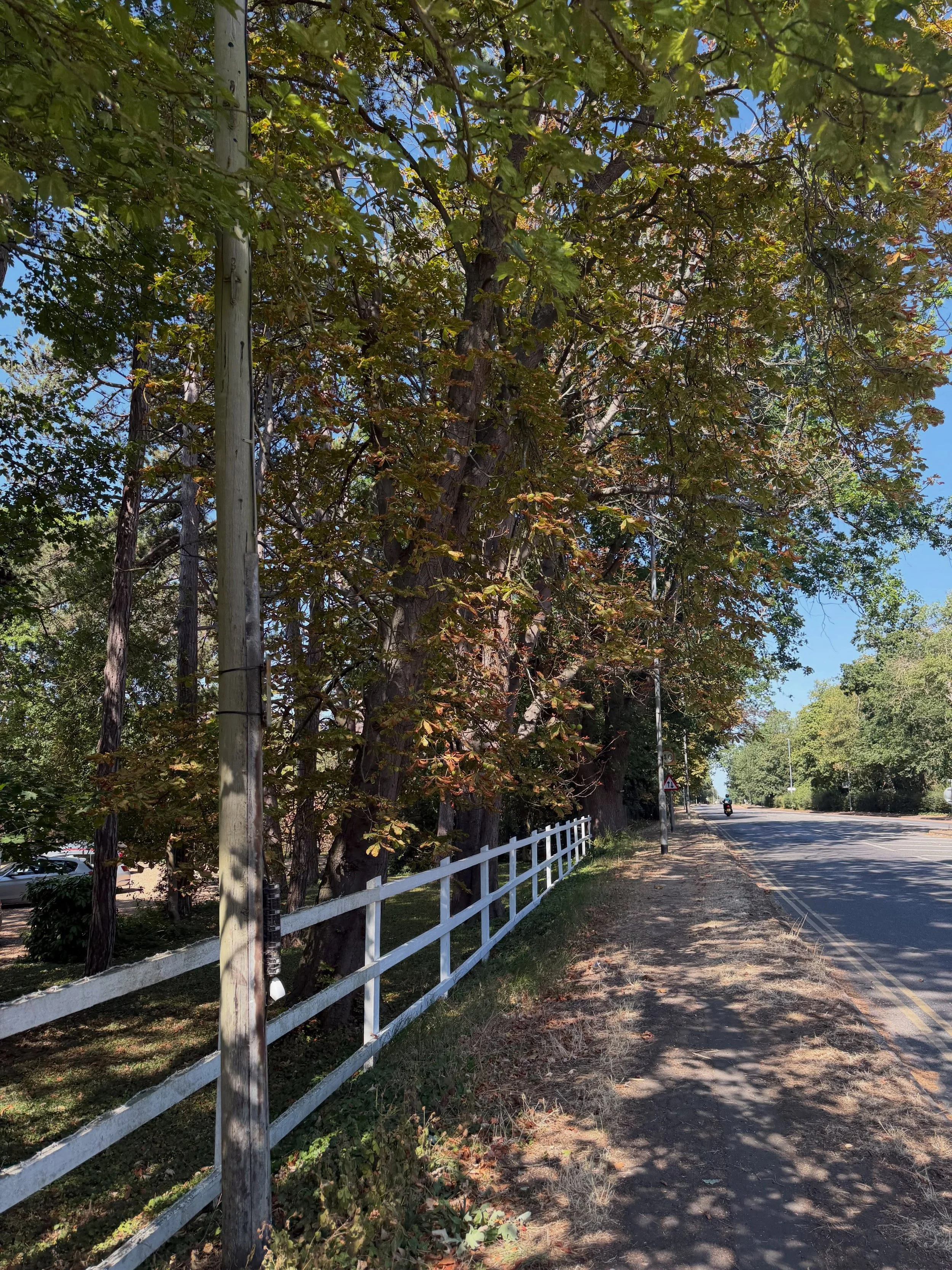 Last week I was running, lifting heavy, and thinking nothing of it. 

Today, walking half a mile feels like an accomplishment.

I had surgery to fix years of breathing issues, and while recovery has slowed me down, it&rsquo;s reminded me how much of 