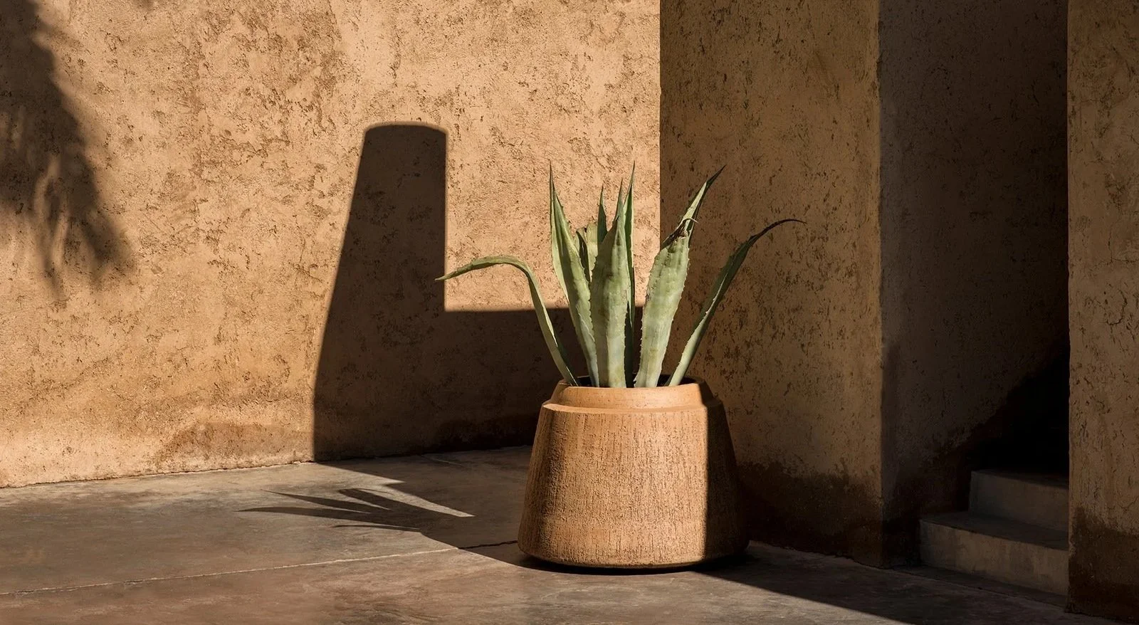 A potted agave plant casting a shadow on a beige stucco wall, with stairs partially visible on the right.