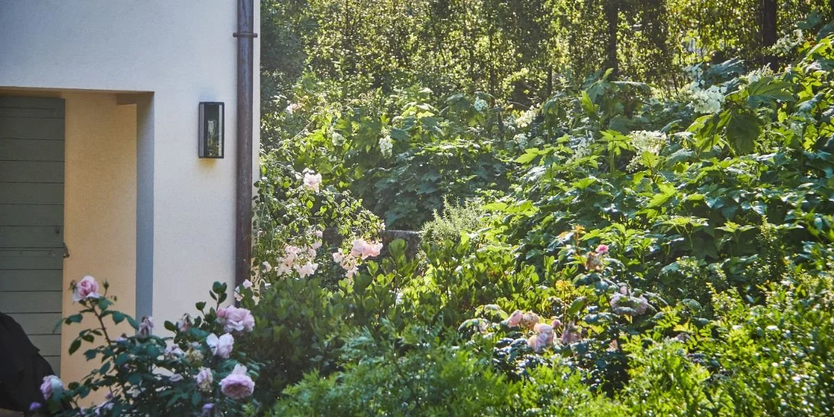 A house with white walls and a garage door partially visible on the left, surrounded by lush green plants and pink flowers, with sunlight filtering through trees in the background.