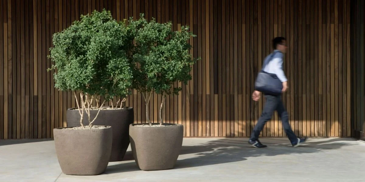 Young man walking past large potted green bushes against a wooden wall.