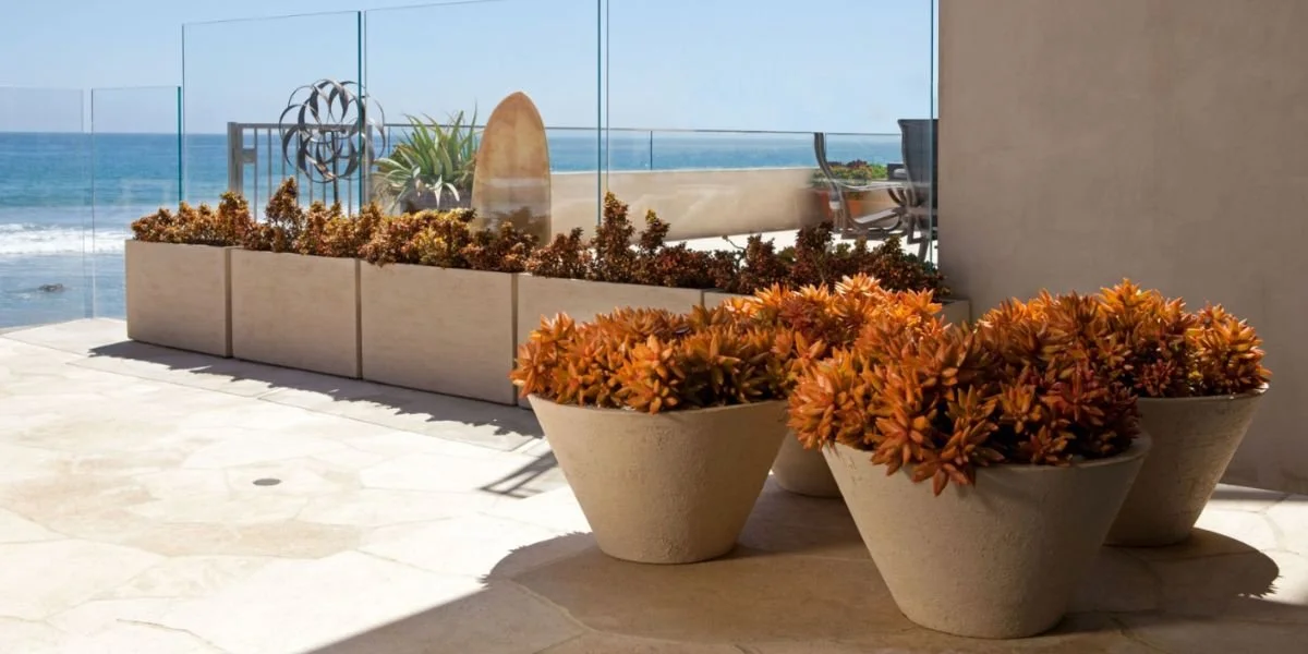 Outdoor patio with large planters filled with orange and green succulents, overlooking the ocean with a glass railing and patio furniture in the background.