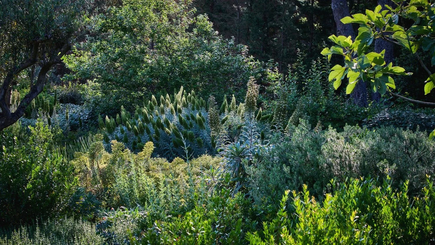 English Garden _D6A8582_HDR.jpg