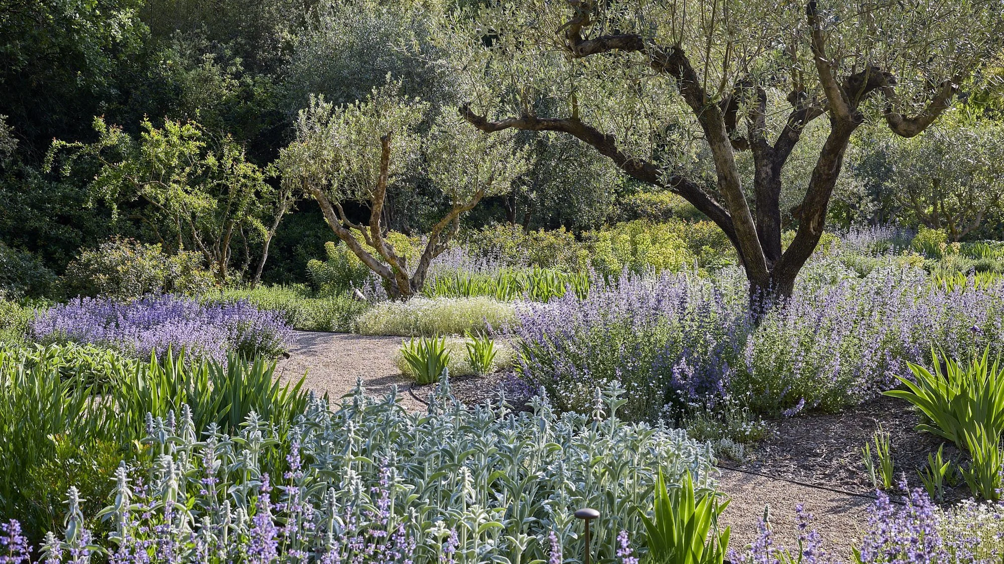 English Garden English Garden _D6A8294_HDR 1.jpg