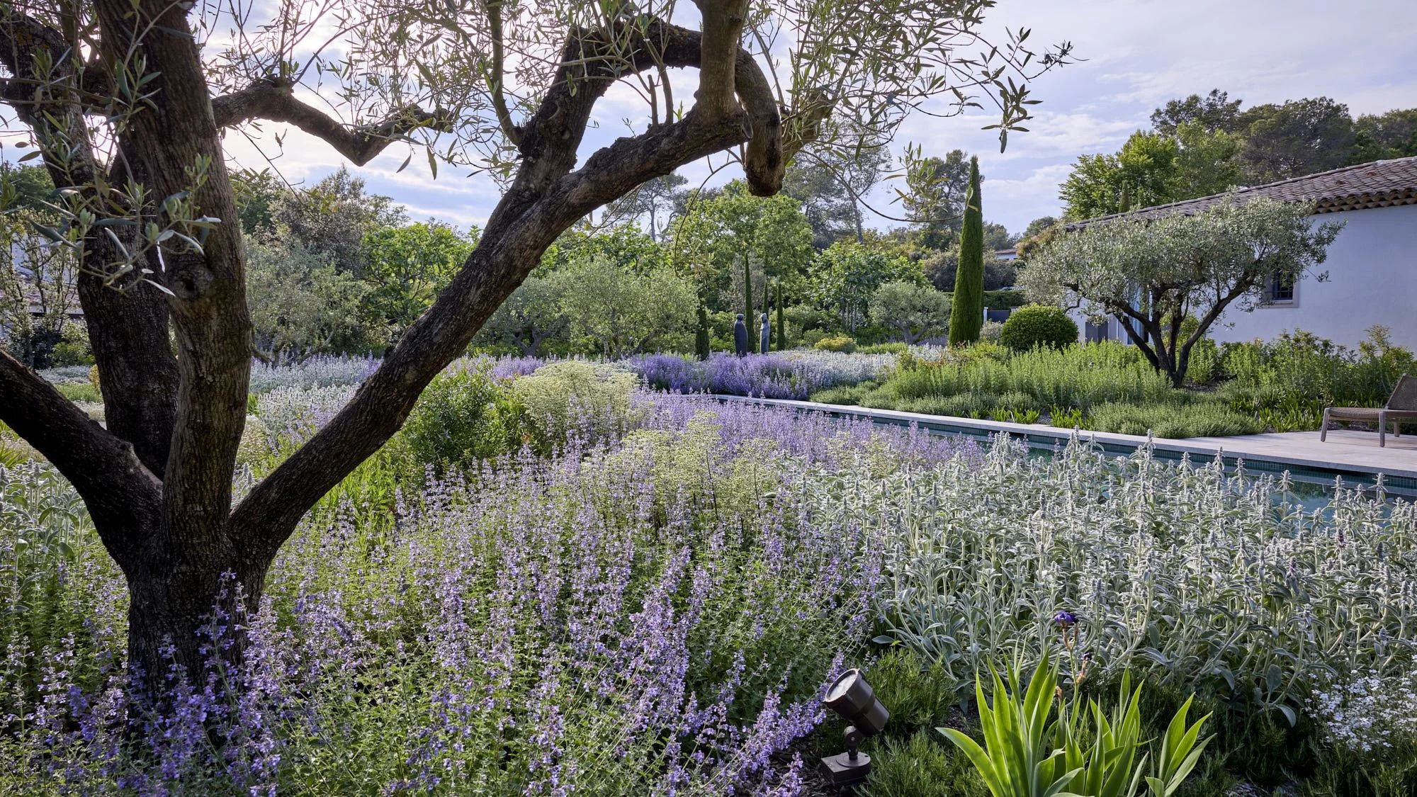 English Garden English Garden _D6A8774_HDR.jpg
