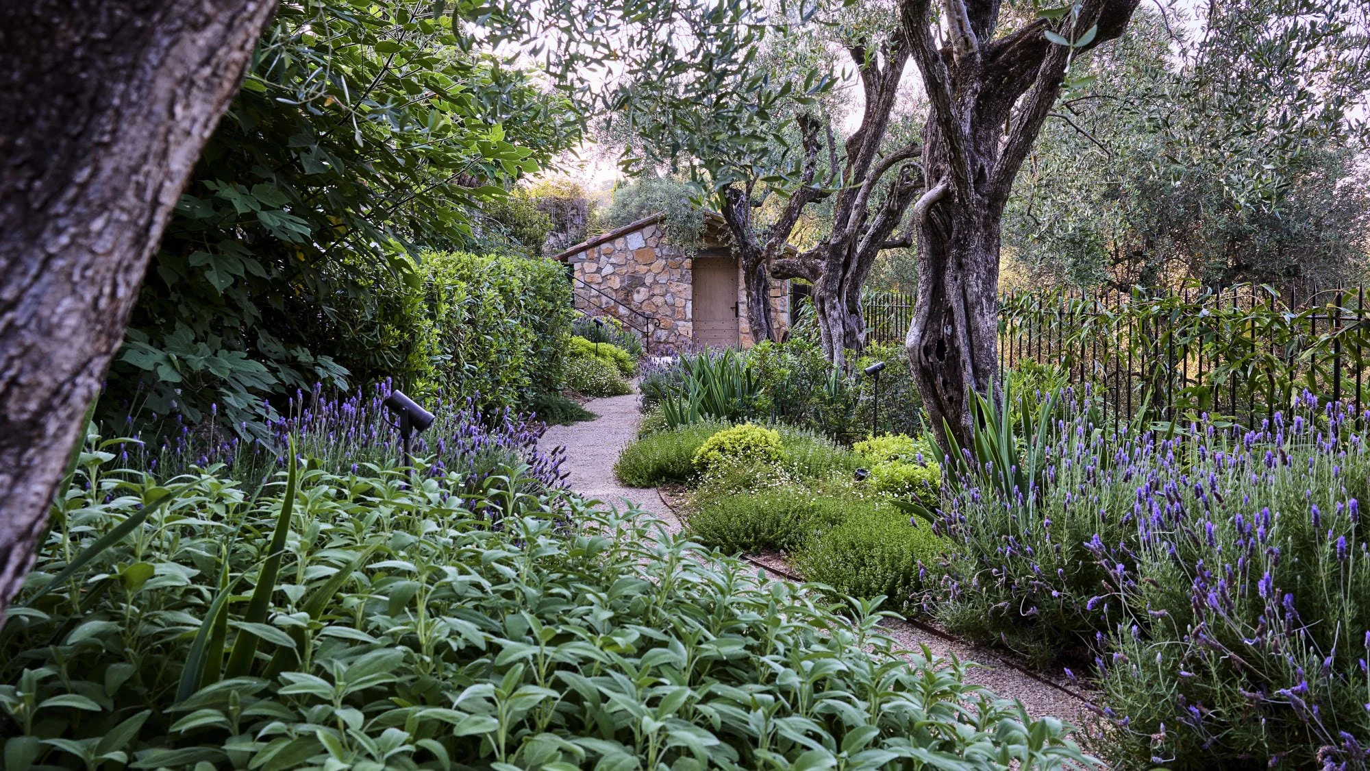 English Garden English Garden _D6A3589_HDR.jpg