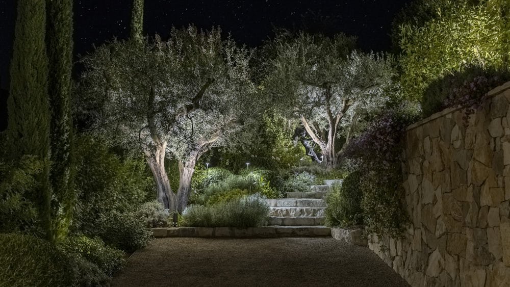 Night view of a garden with stone steps leading up, illuminated by outdoor lights. The garden contains trees, bushes, and shrubbery, with a stone wall on the right side.