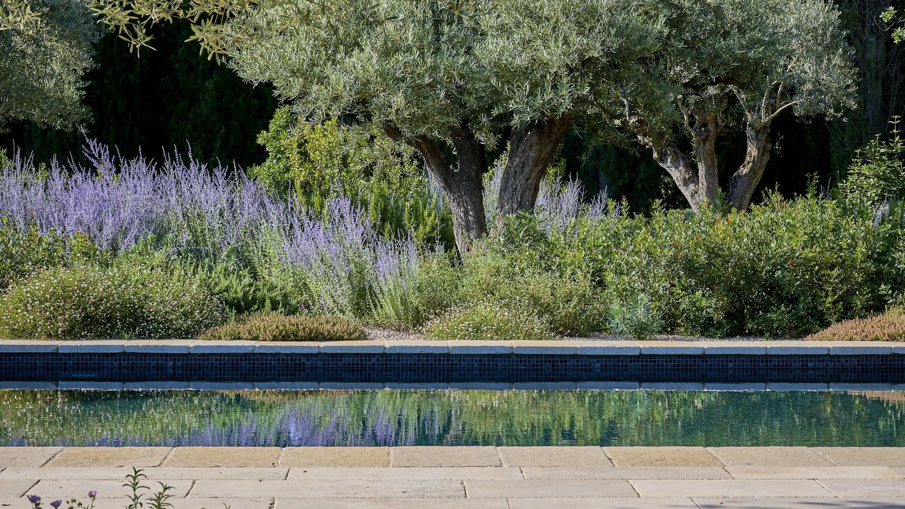 English Garden English Garden _D6A6014_HDR.jpg