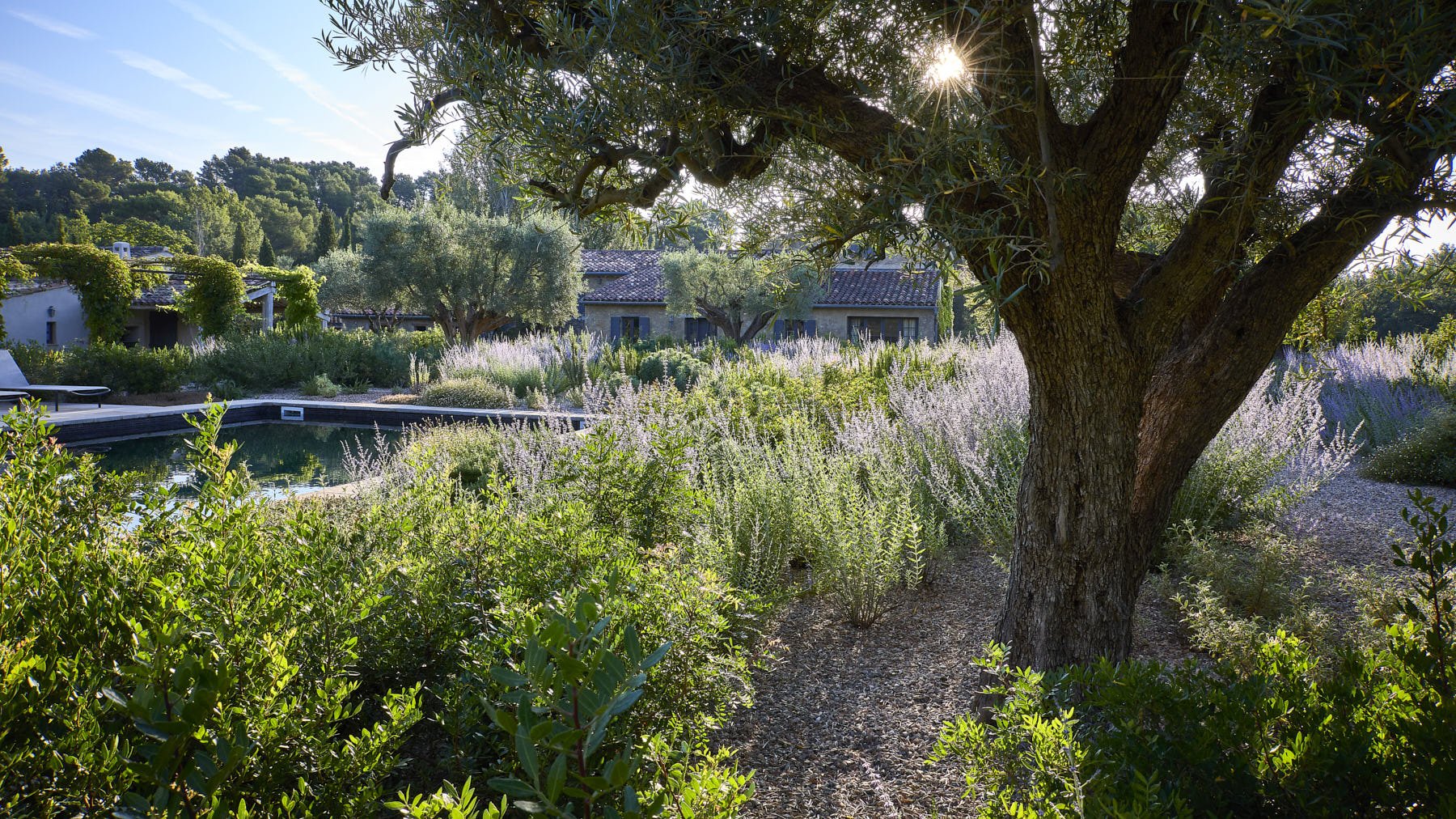 English Garden _D6A5220.jpg