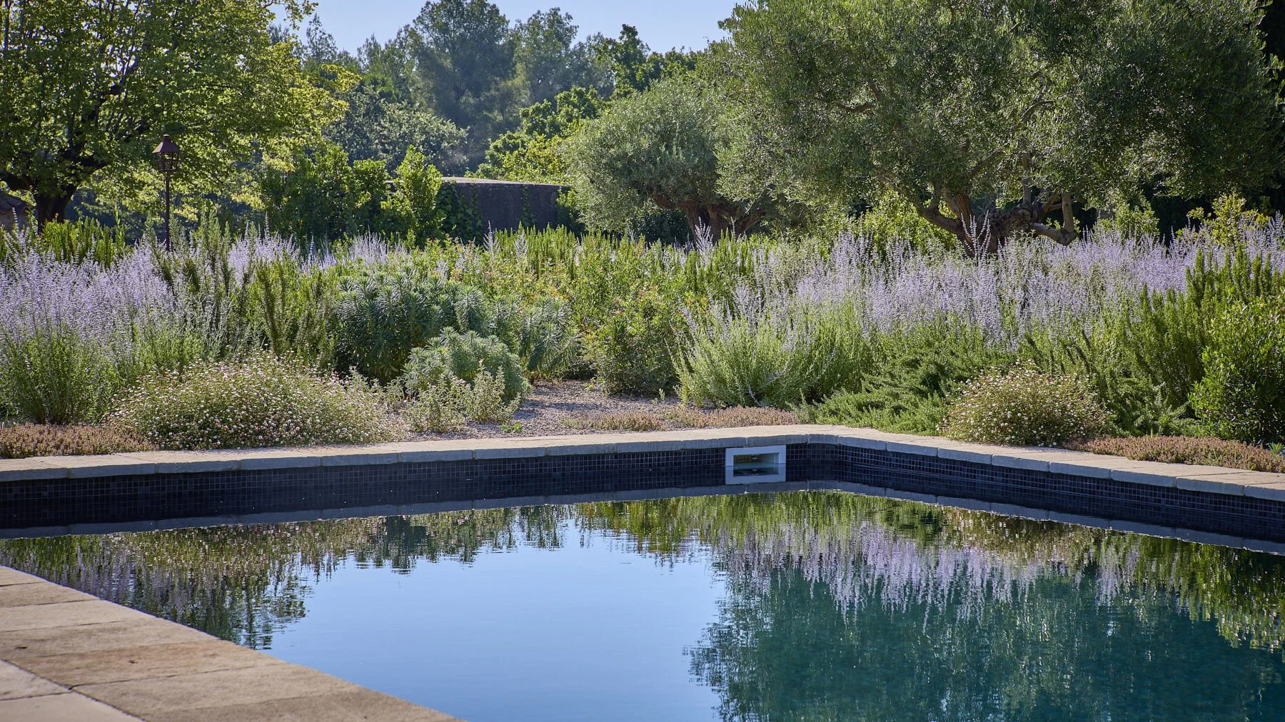 English Garden _D6A6347_HDR.jpg