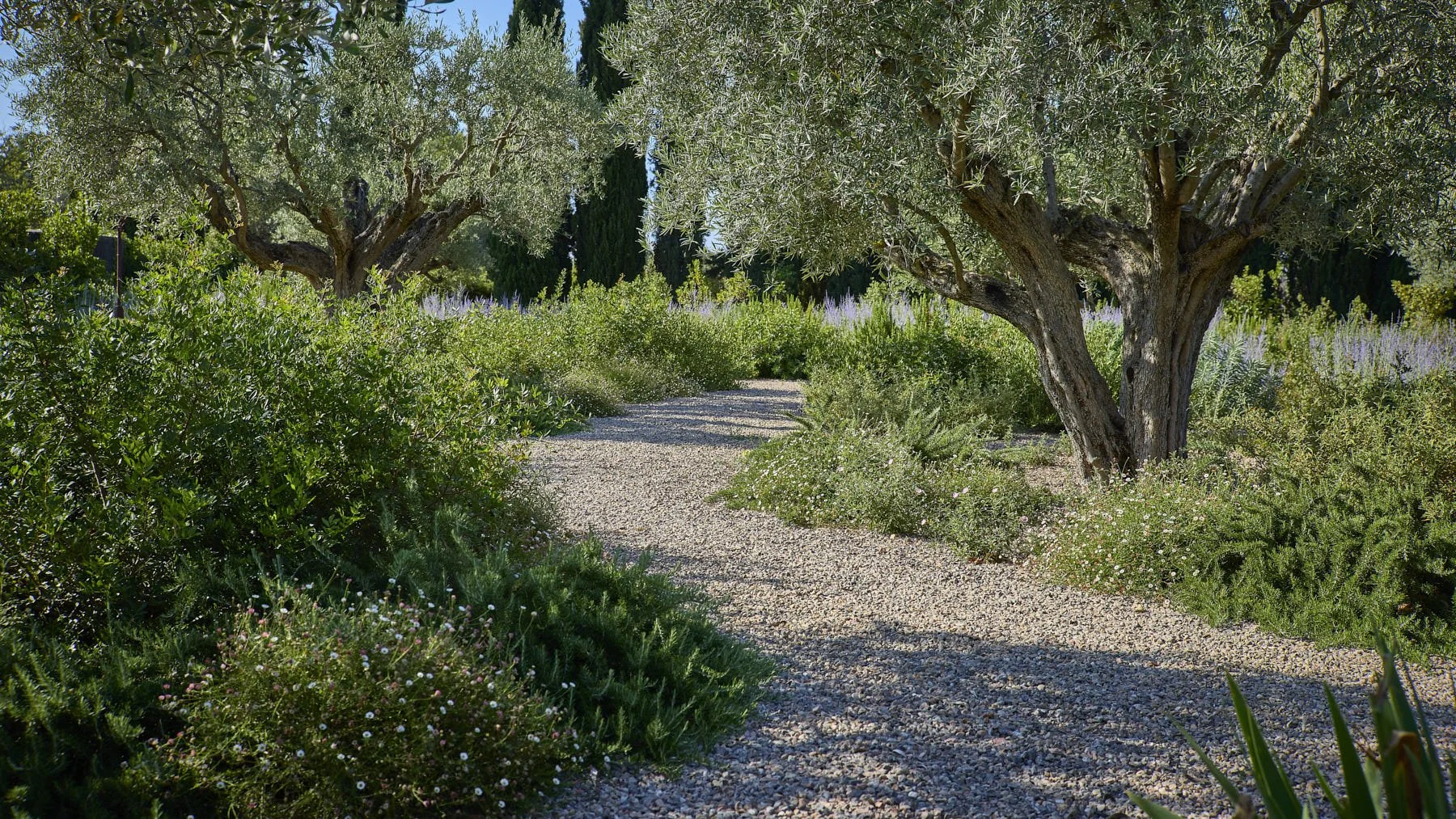 English Garden _D6A6288.jpg