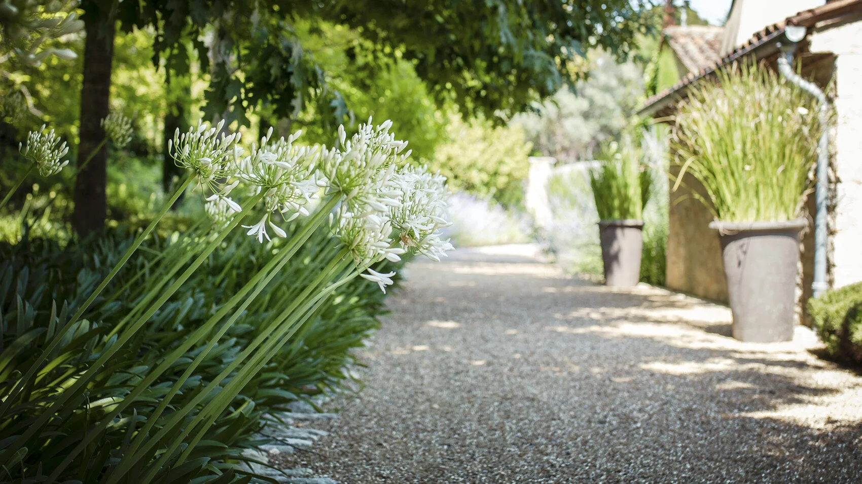 englishgarden 12_07.jpg