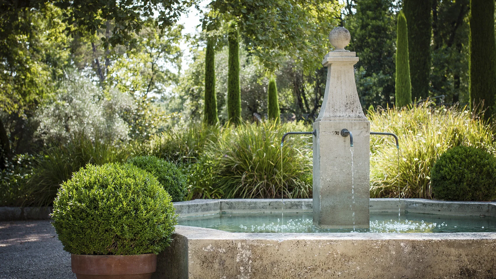 englishgarden 12_03.jpg