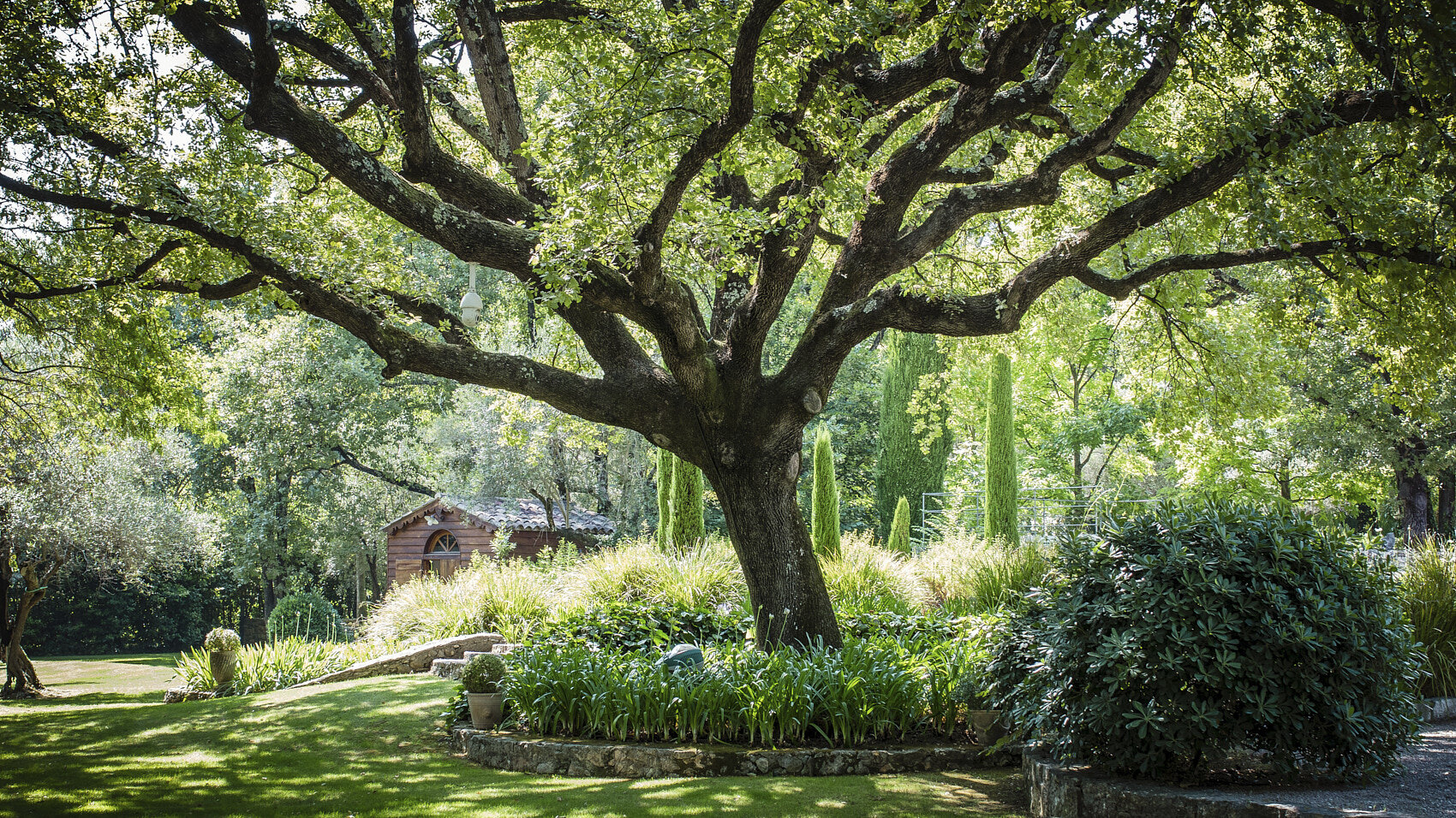 englishgarden 12_02.jpg