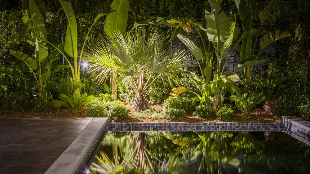 Nighttime view of a lush tropical garden with large green leaves, illuminated by outdoor lights, reflected in a swimming pool