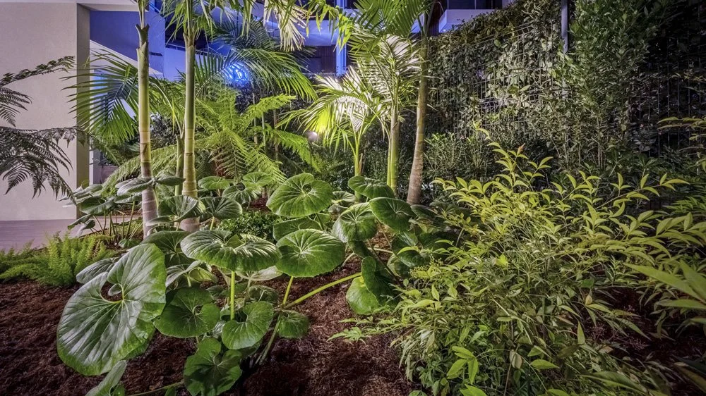 Indoor garden with lush green tropical plants, including large-leafed plants and tall slender trees, illuminated by soft artificial lighting.