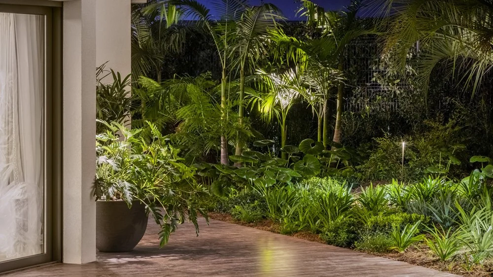 Night view of a lush tropical garden with various green plants and palm trees illuminated by outdoor lighting, seen from a patio with a sliding glass door on the left.