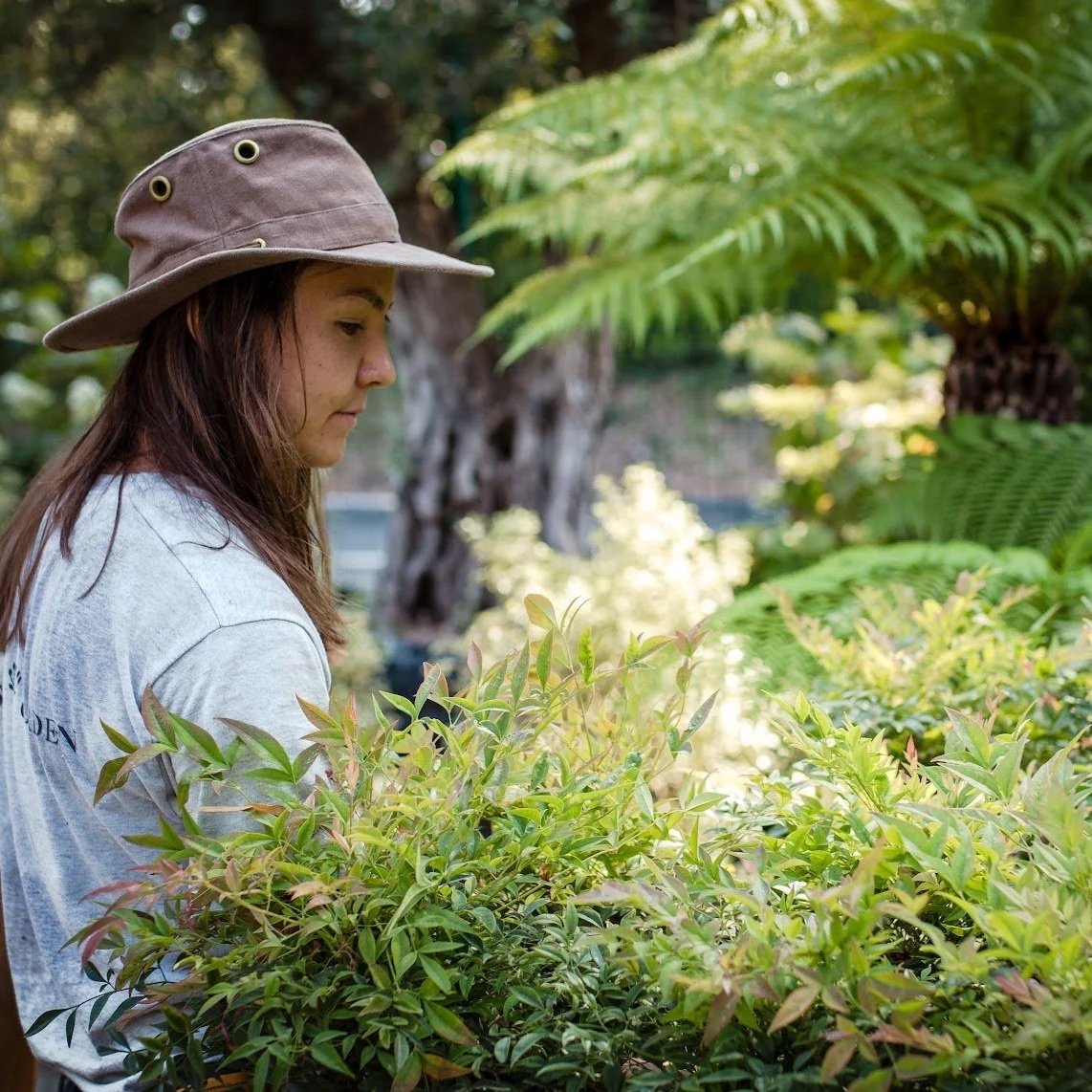 Girl in the plant nursery watering the plants