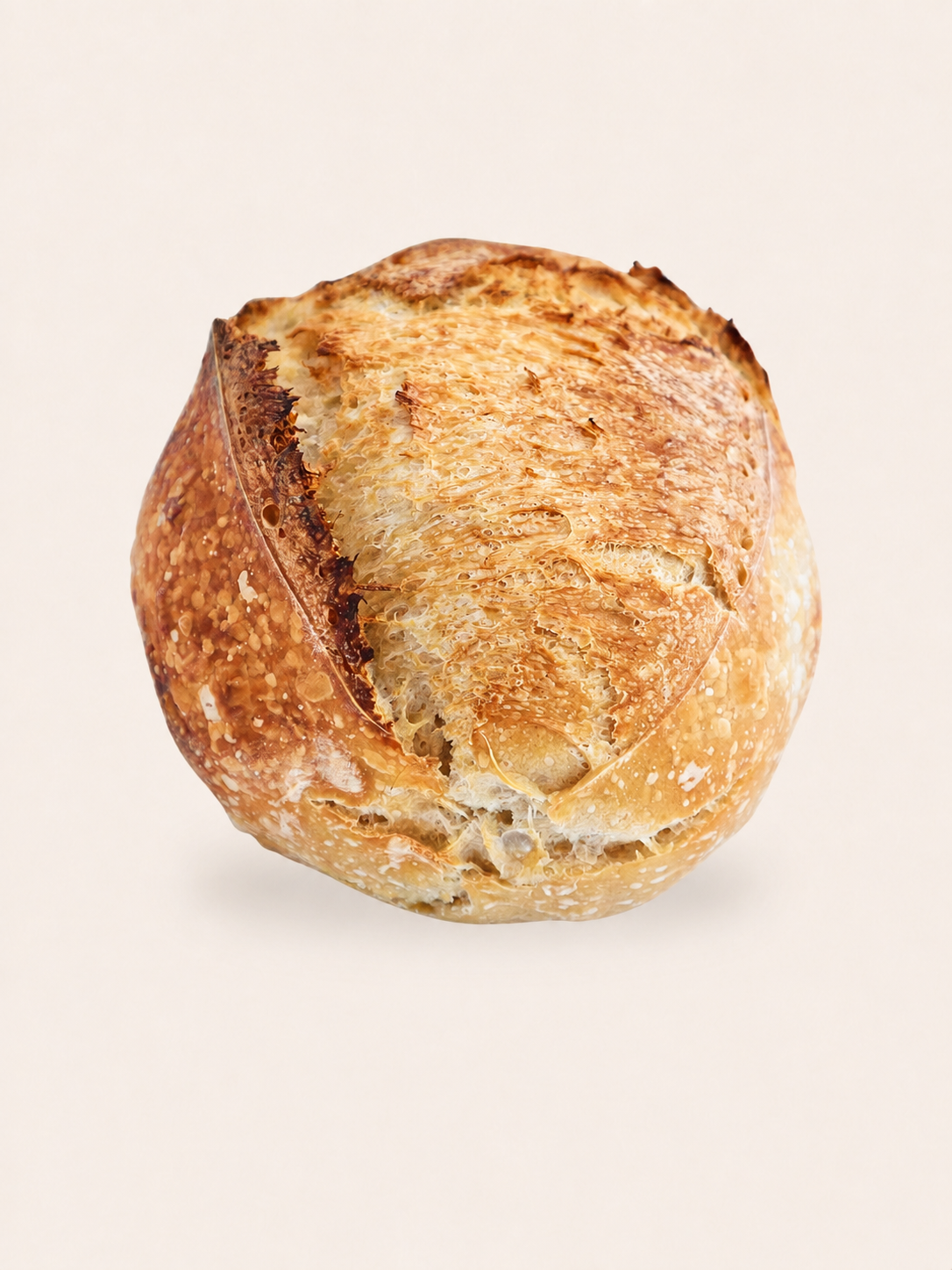 Classic Sourdough Loaf