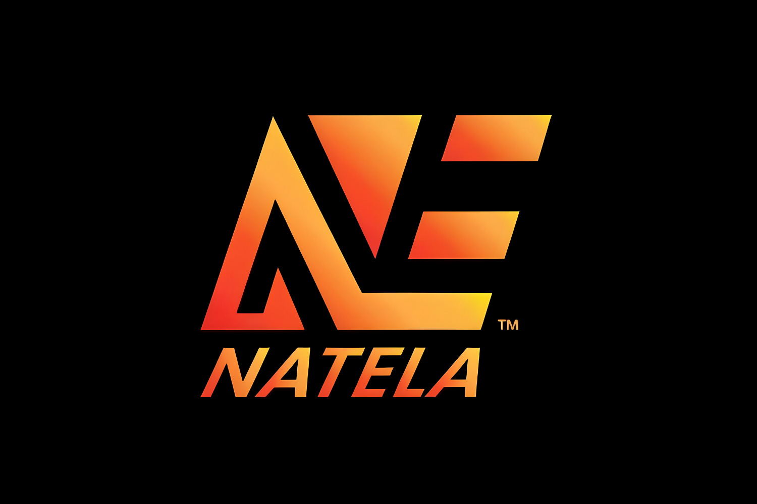 Natela Fit Wear: Foundational Clarity for an Early-Stage Launch