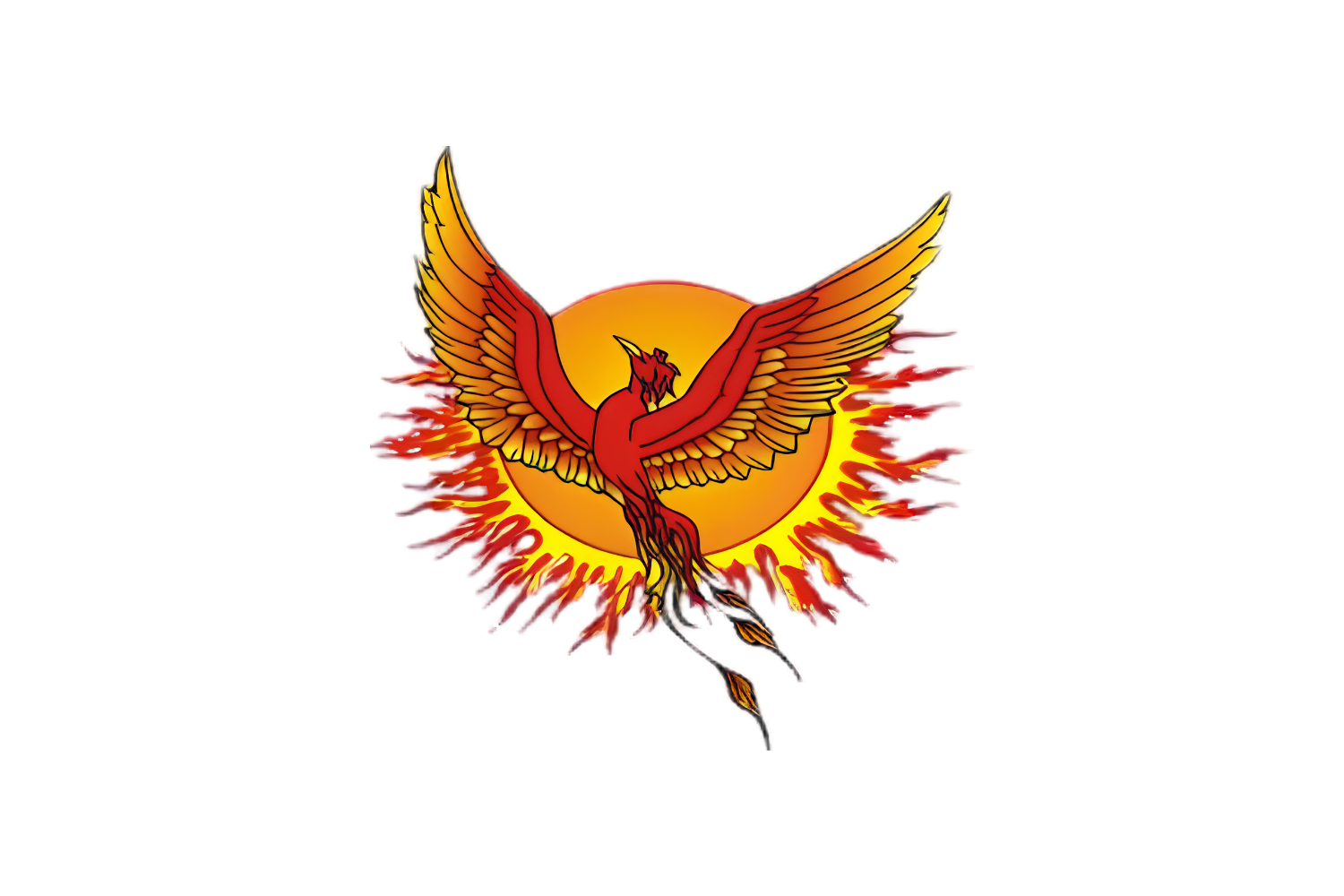 Phoenix Foundation: Research and Positioning