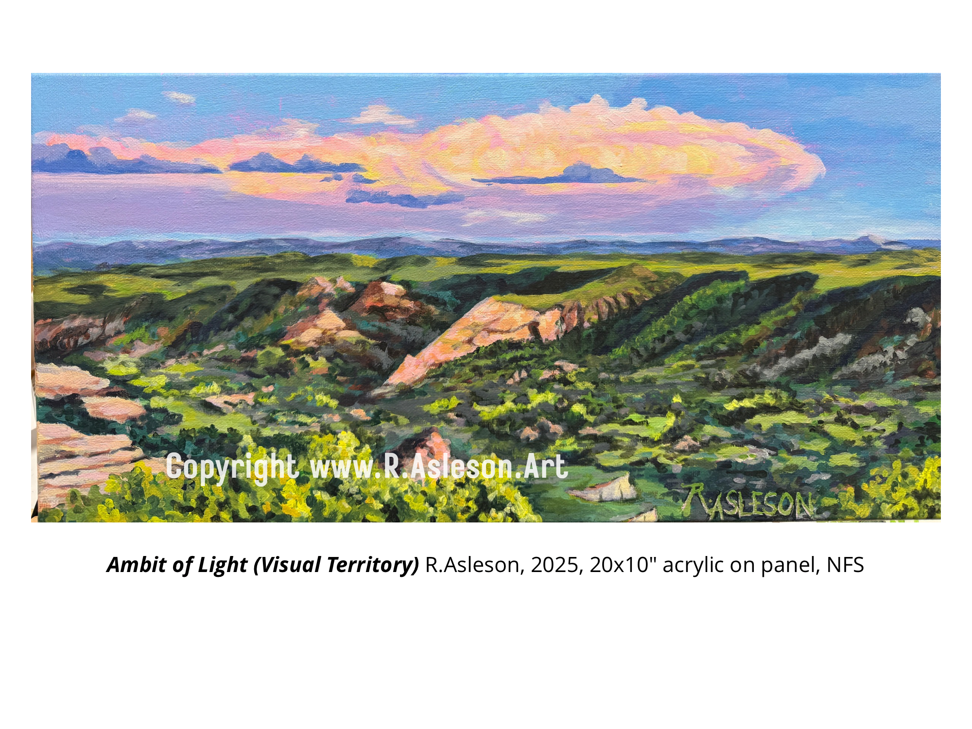 2025.011 Ambit of Light (Visual Territory) R.Asleson, 2025, 20x10" acrylic on canvas, NFS