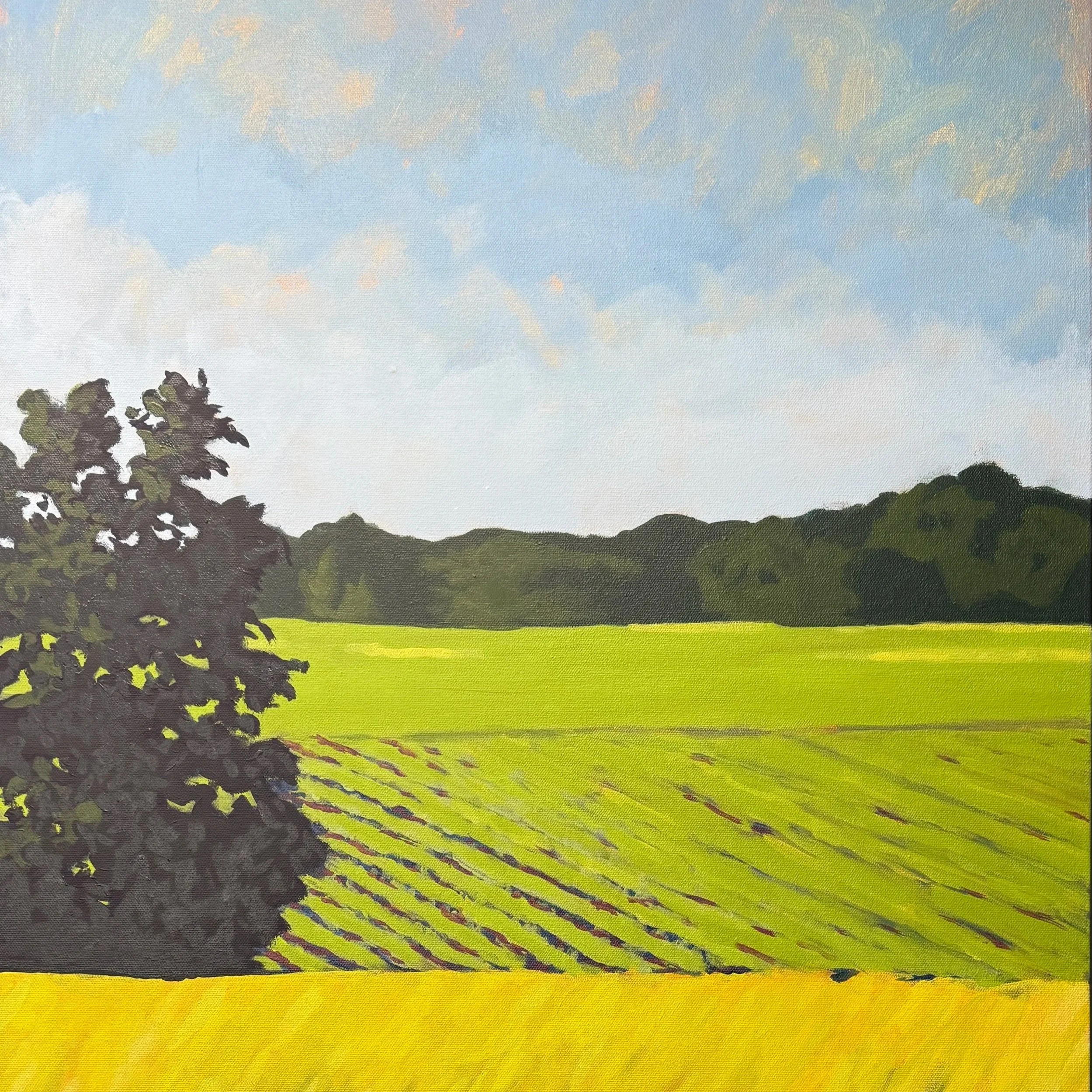 foreground tree, early spring row crop, shelterbelt in the distance